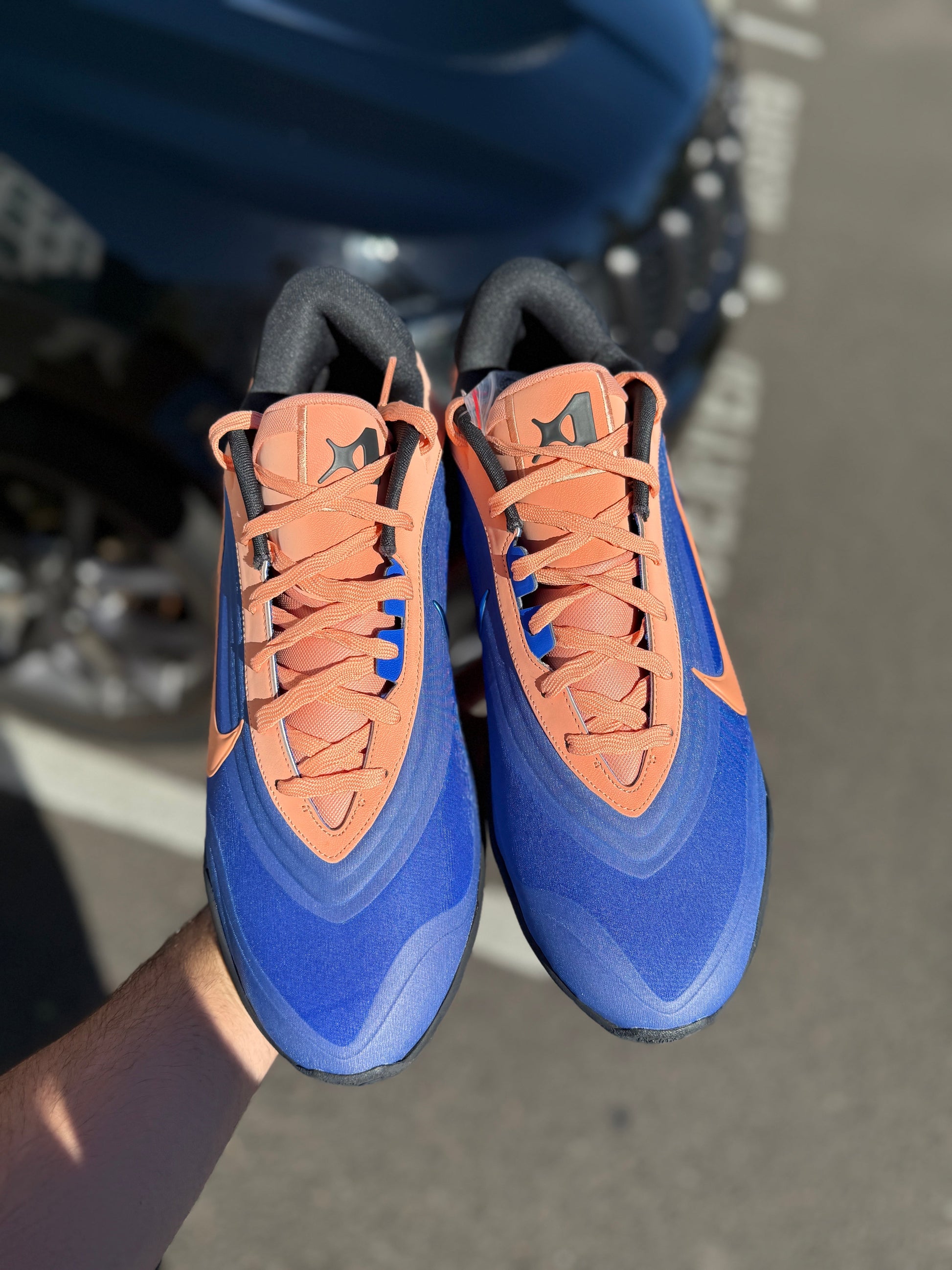 Aone Eybl (size 16)