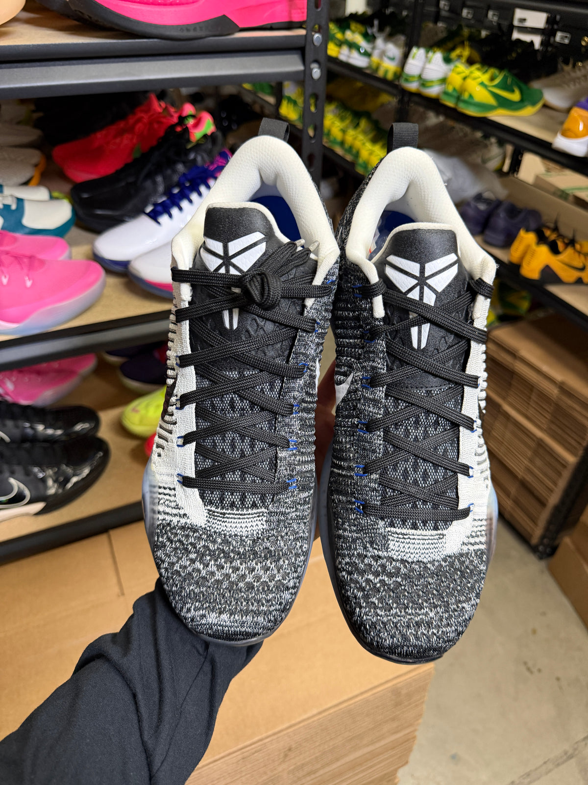 Kobe 10 Htm Shark Jaw (13)