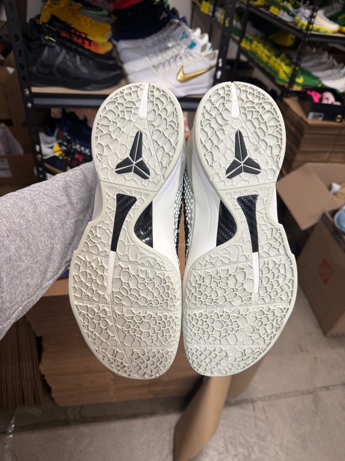Kobe 6 Allstar (13.5)