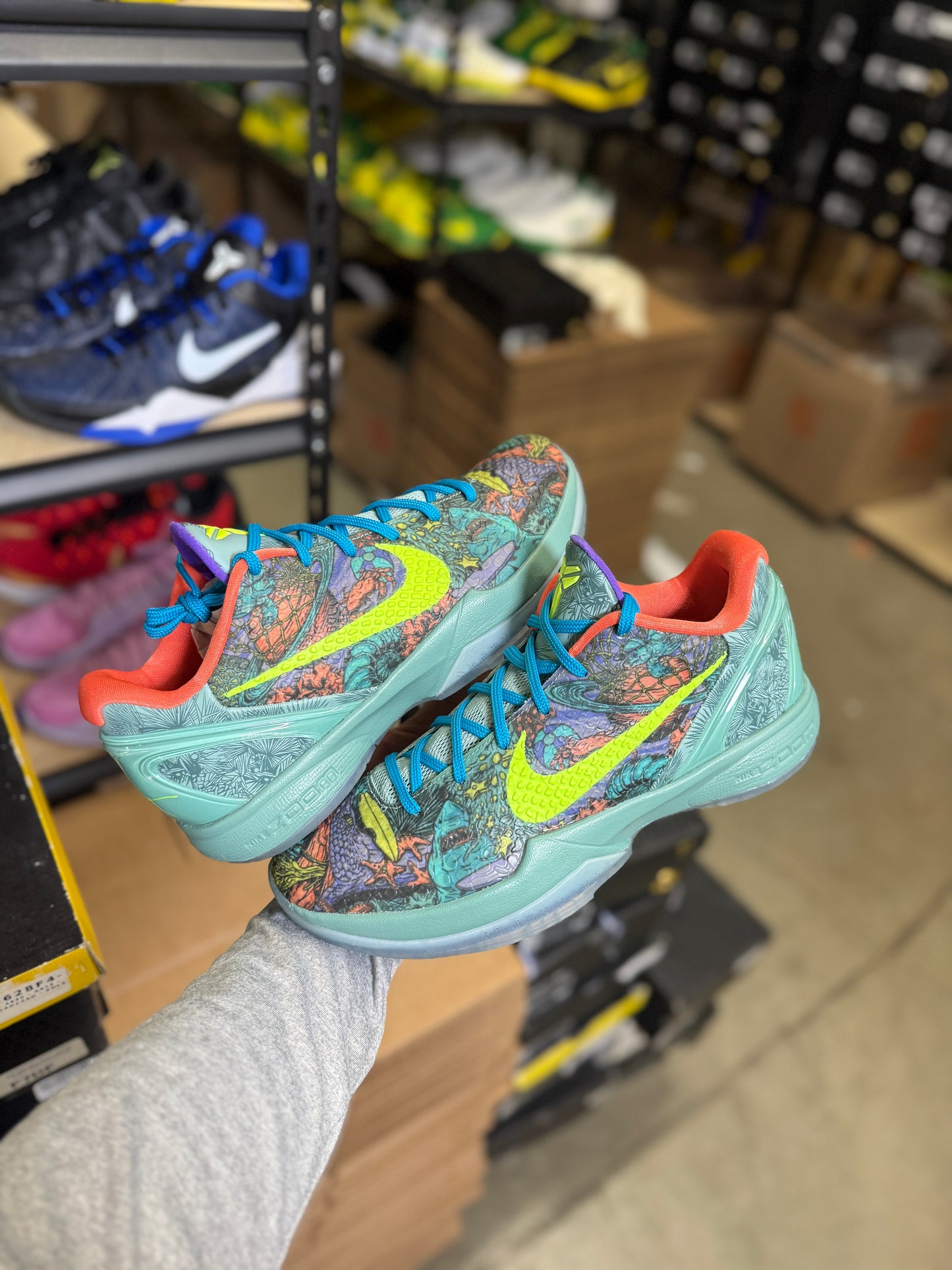 Kobe 6 Prelude (10)