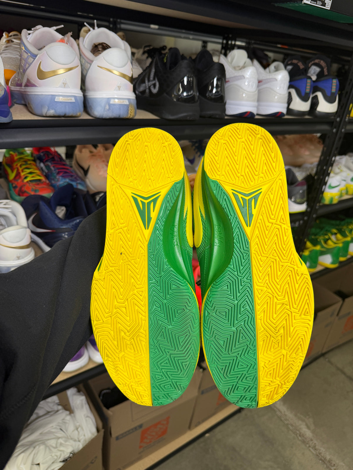 Ja Oregon PE (13)
