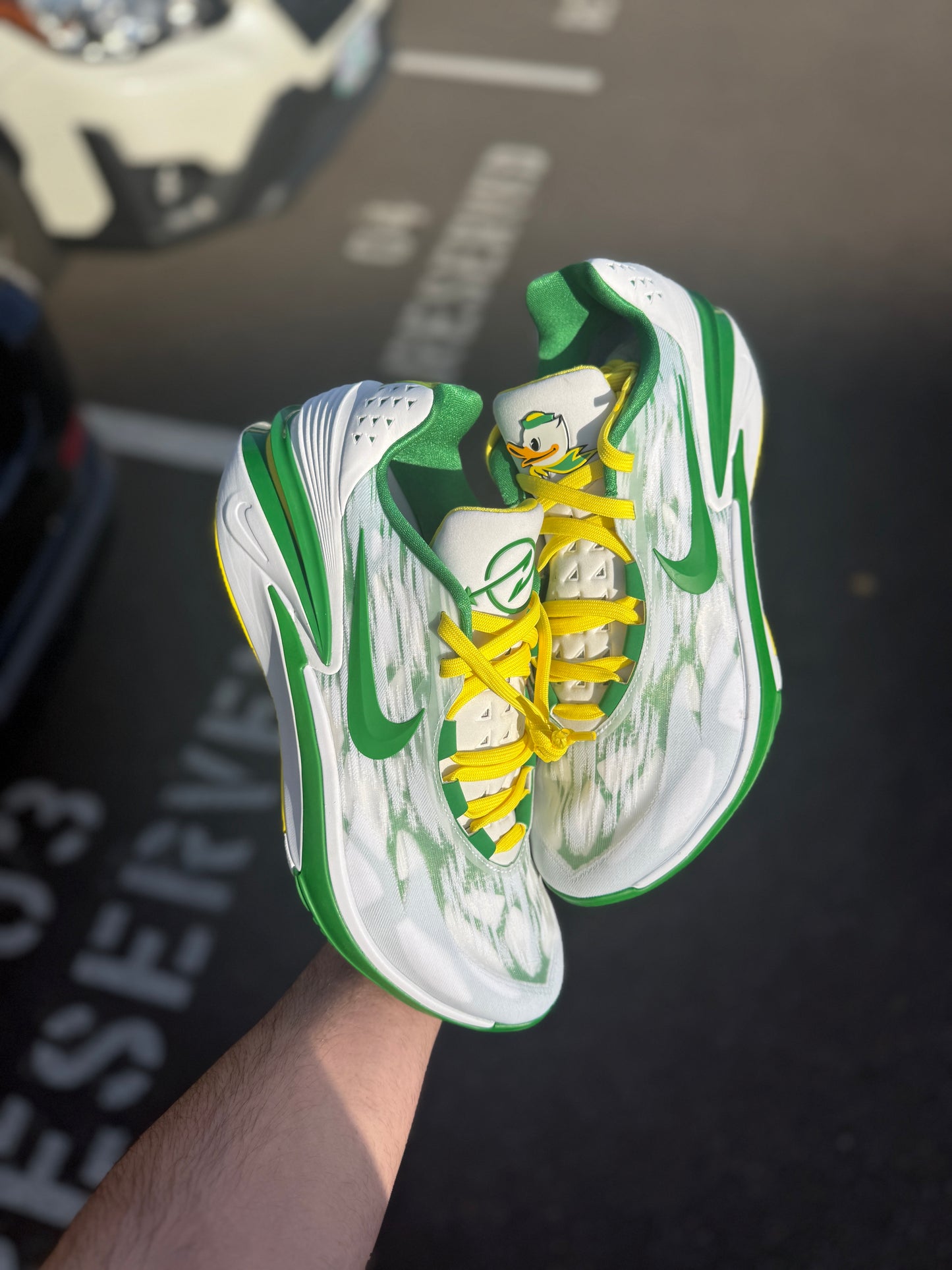Gt Cut 2 Oregon PE (size 13)