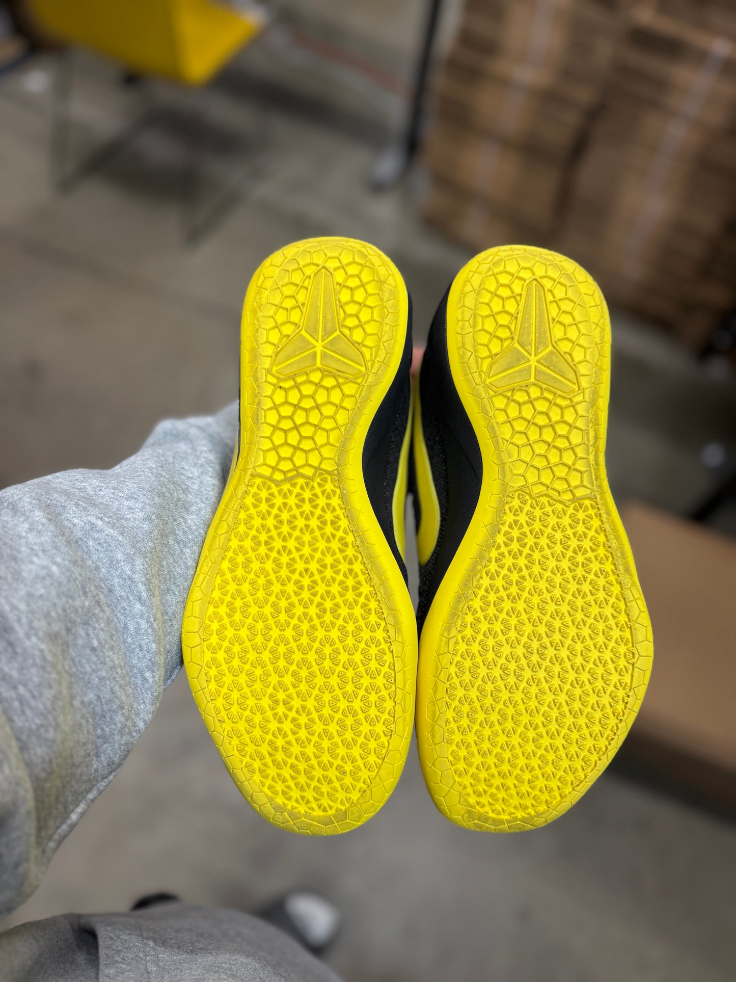 Kobe Ad Oregon PE (10.5)
