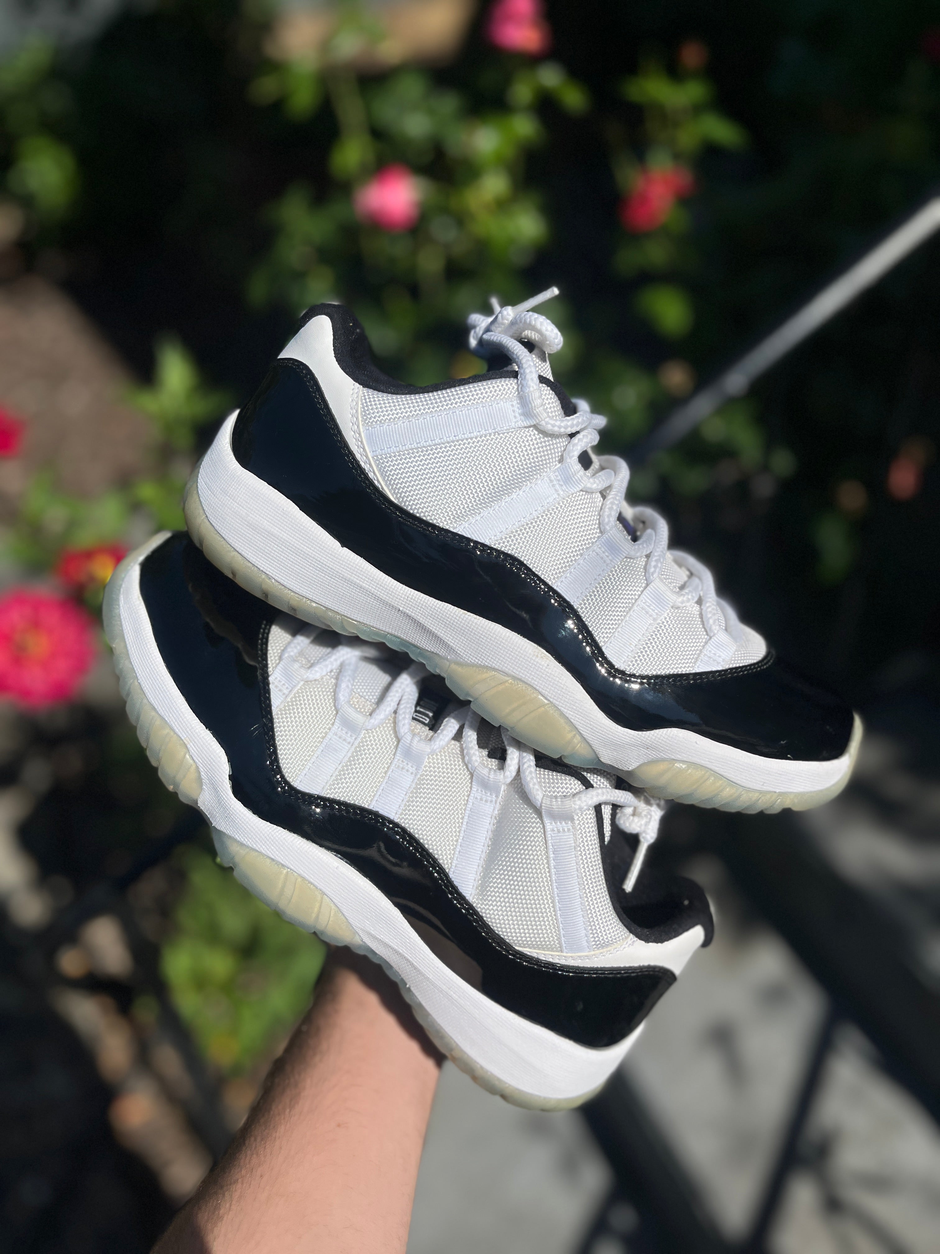 AJ11 Concord size 10