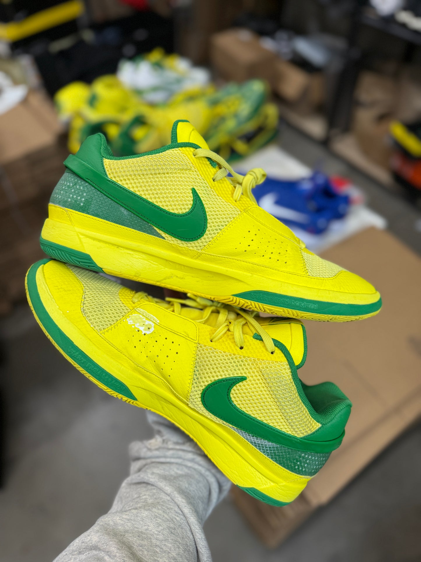 Ja Oregon PE (15)