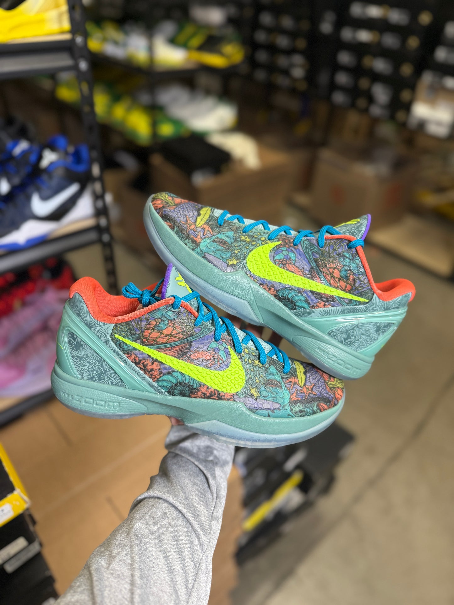 Kobe 6 Prelude (10)