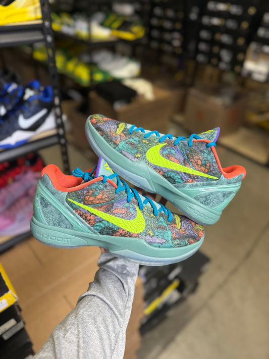 Kobe 6 Prelude (10)