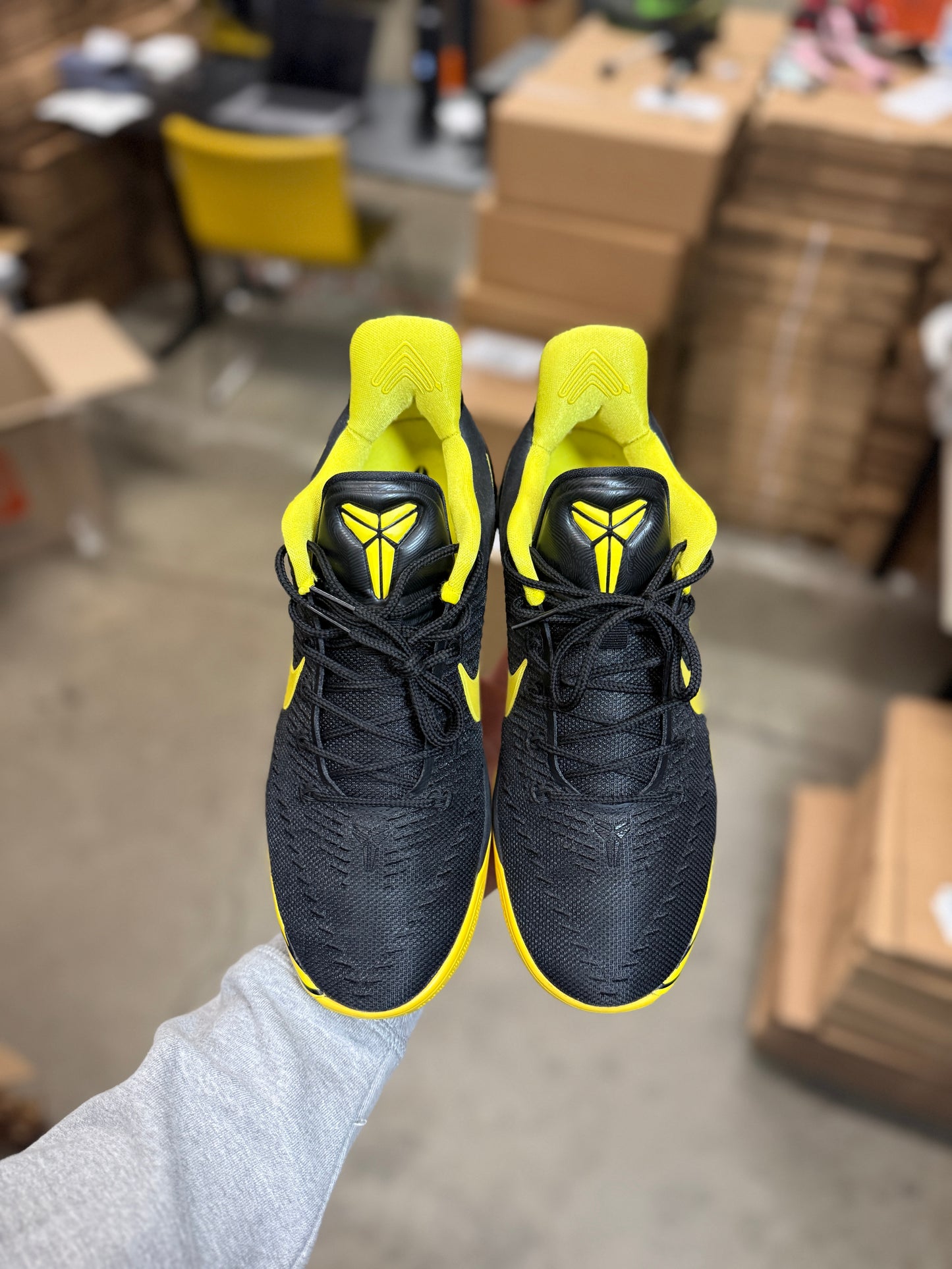 Kobe AD Oregon PE (9)