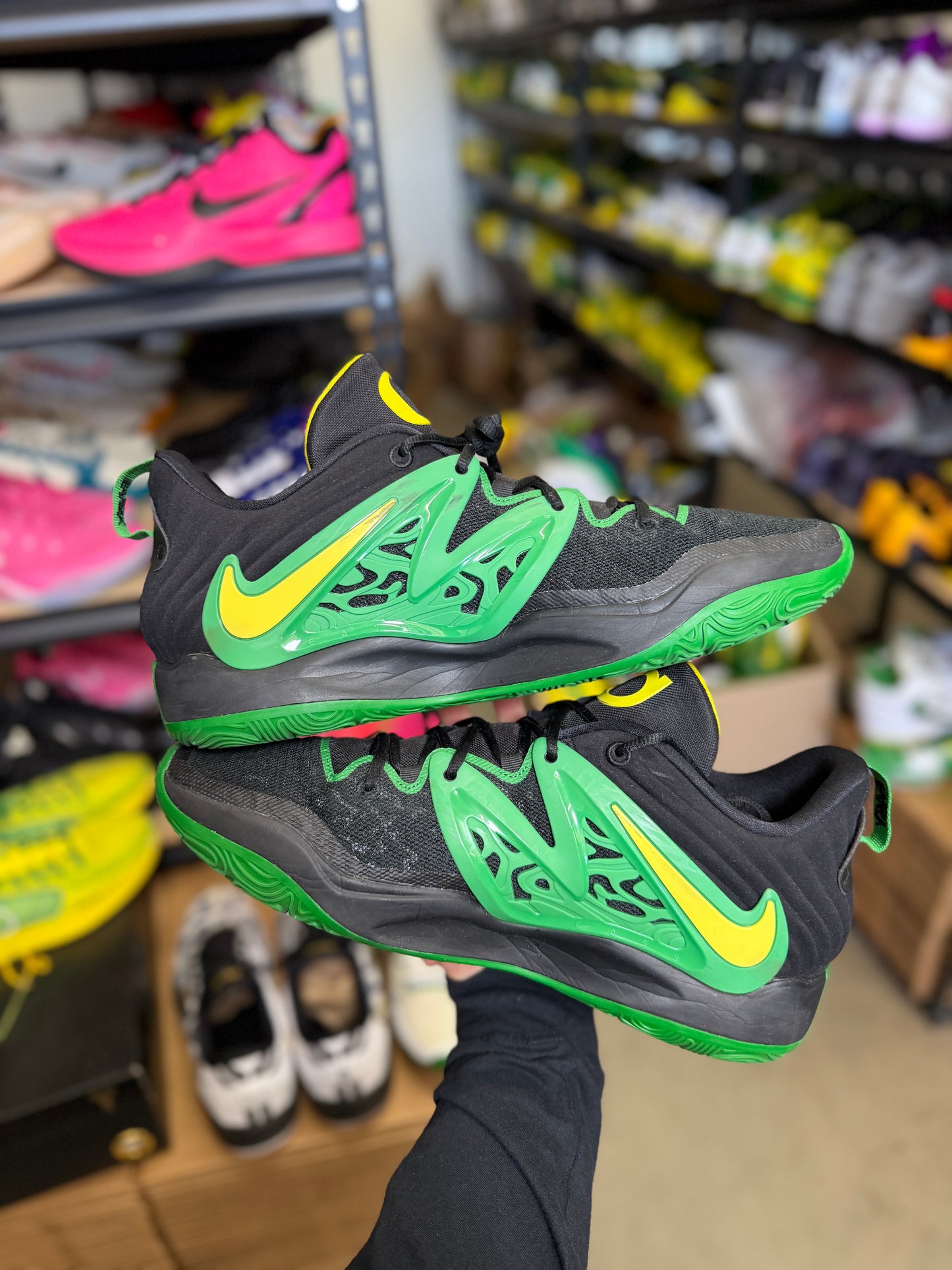 Kd15 Oregon PE (15)