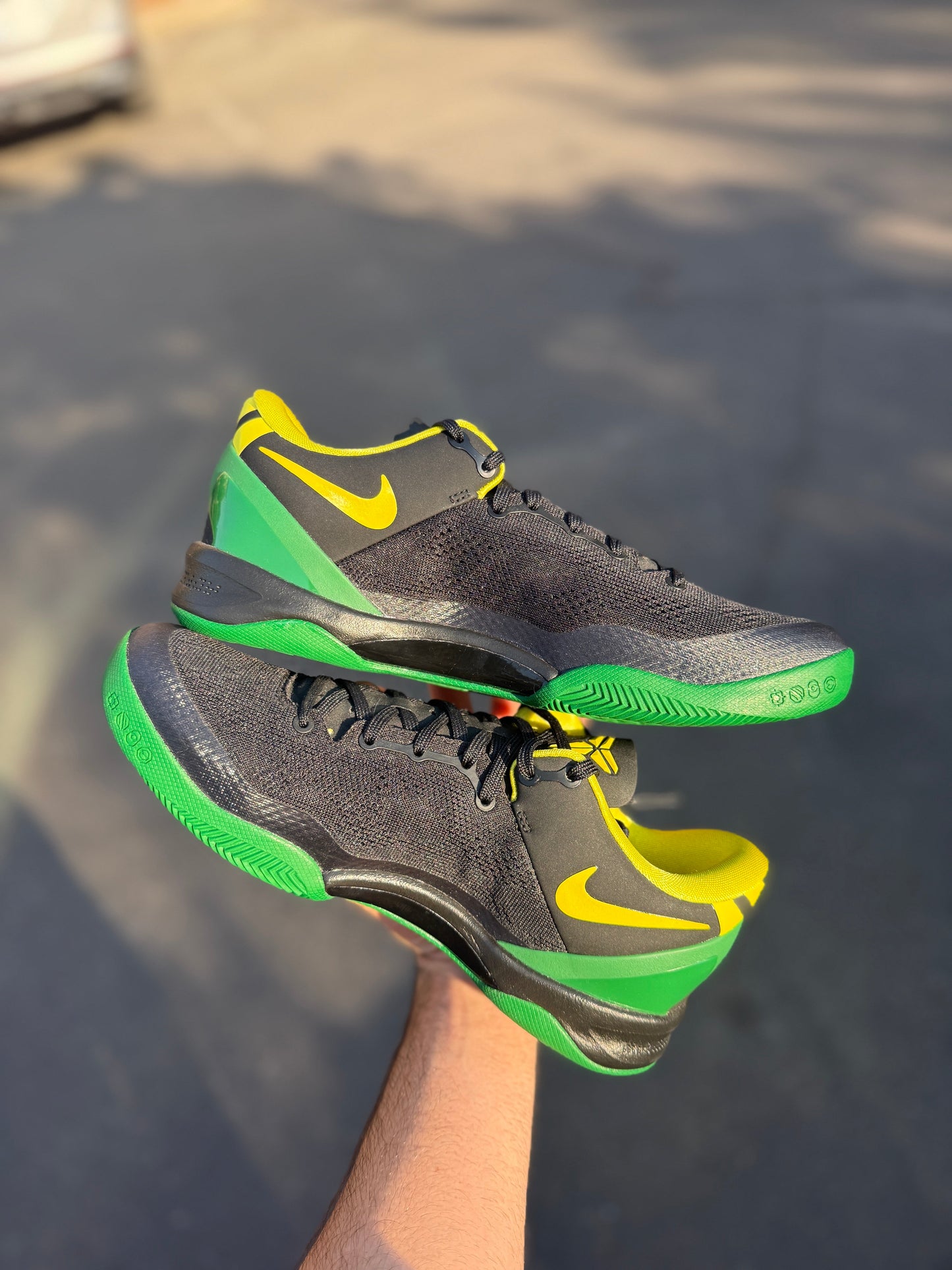 Oregon PE 8 (9 / 12 / 13)