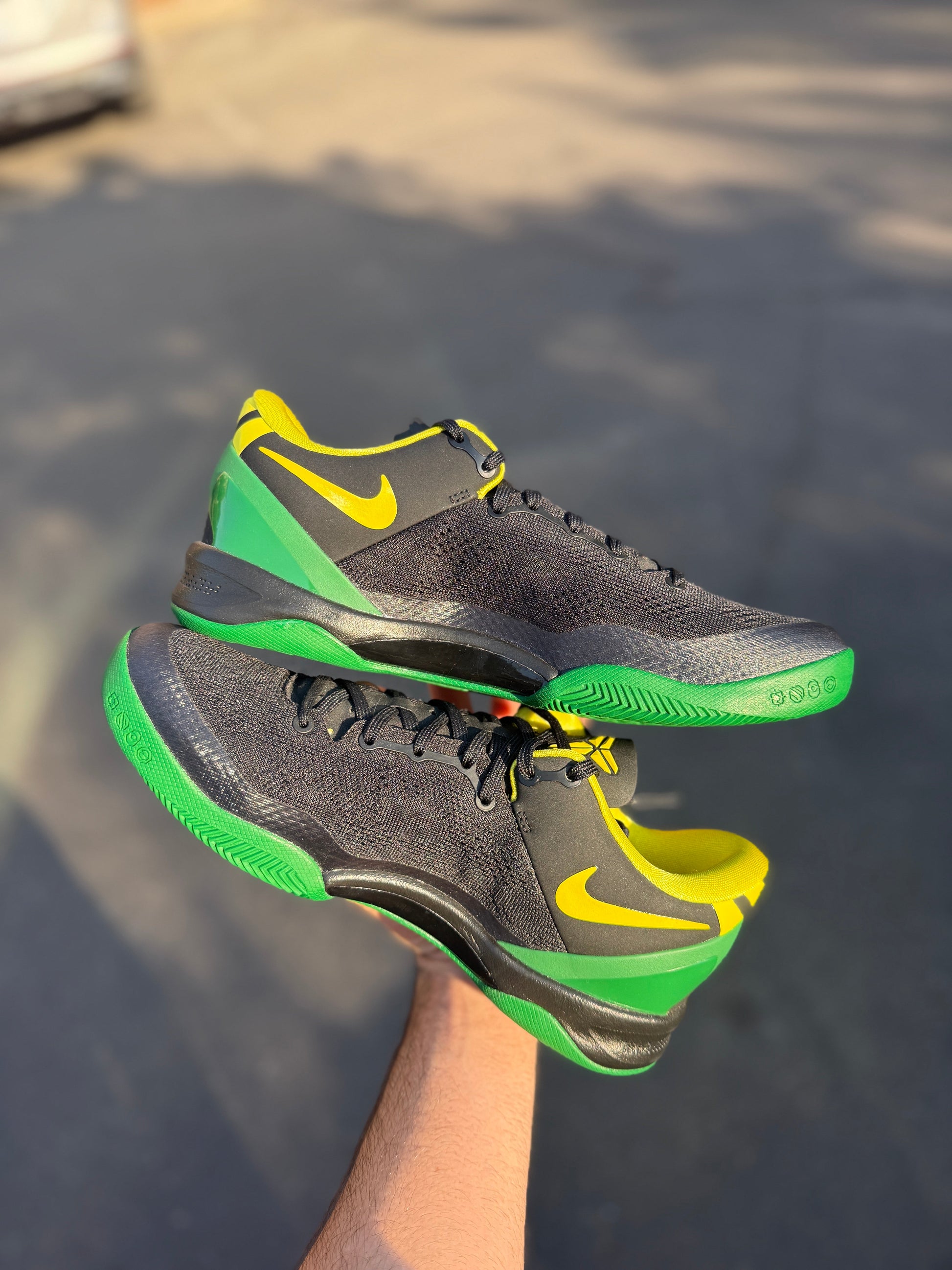 Oregon PE 8 (9 / 12 / 13)