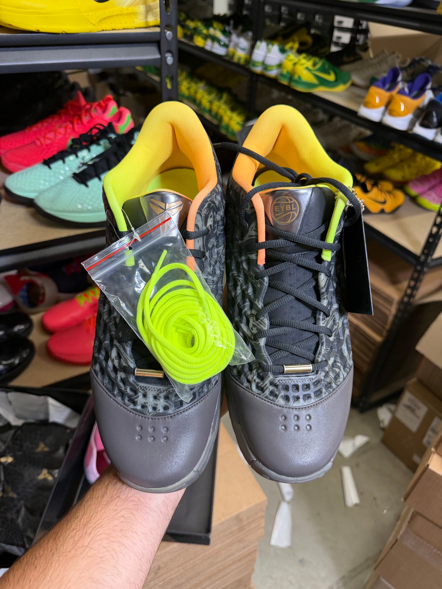 Kobe 3 Eybl (13)