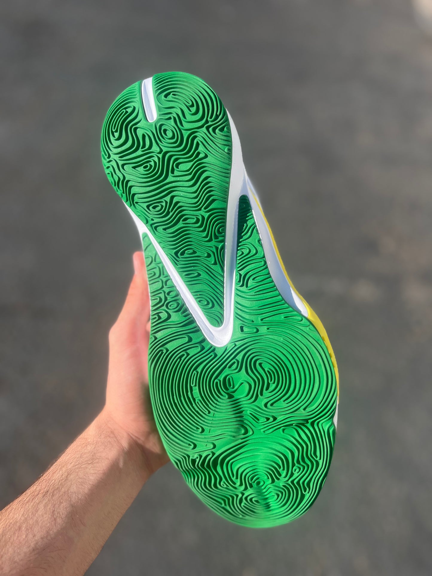 Oregon PE (size 15)