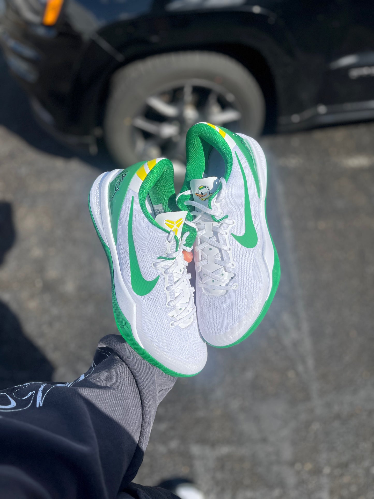 Oregon PE 8 (7.5 / 9 / 11.5)