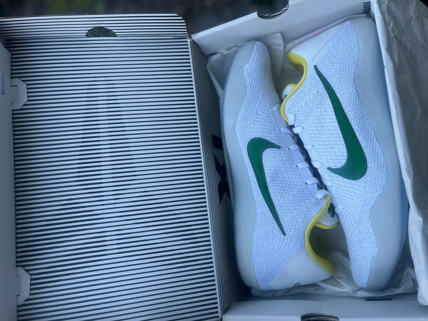 Oregon PE (size 16)