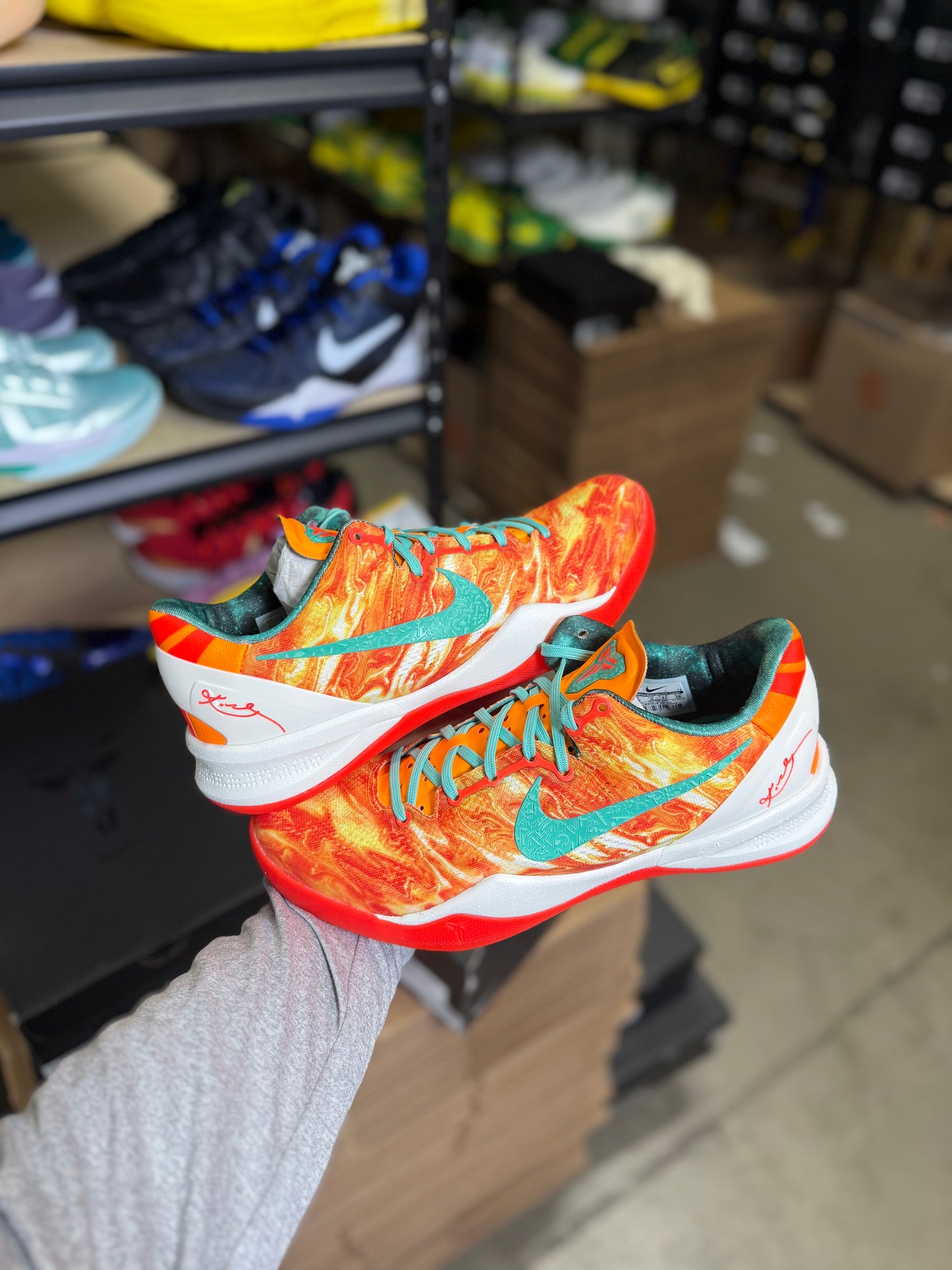 Kobe 8 Area 72 (10)