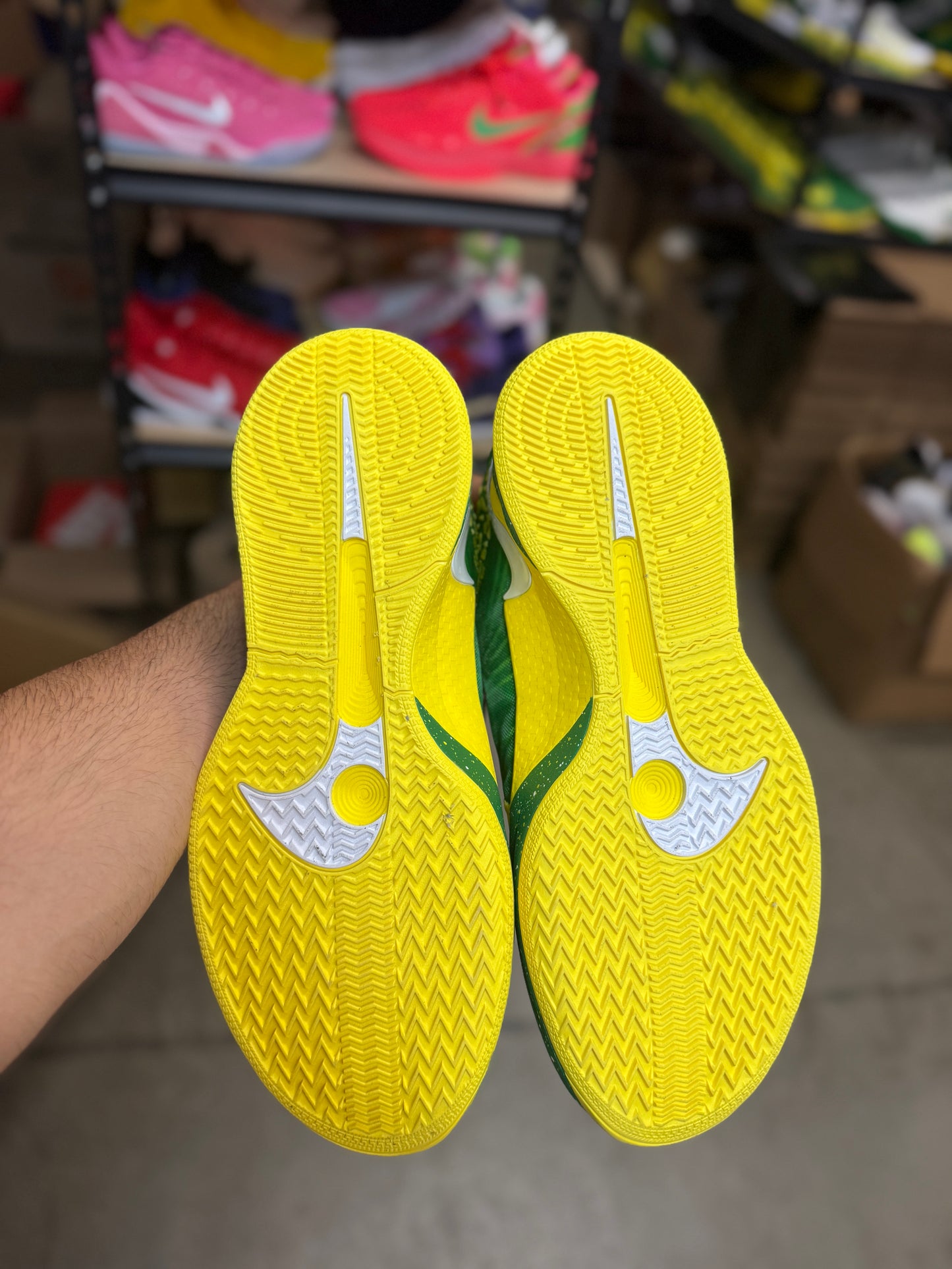 Sabrina Oregon PE (13.5)