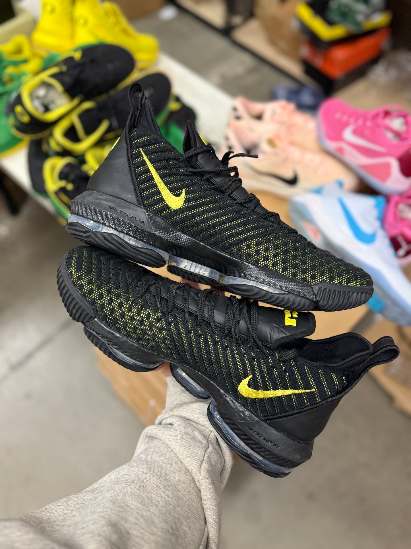 LeBron Oregon PE (size 15)