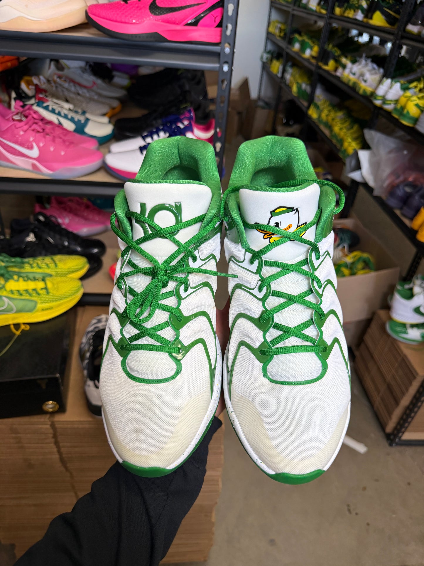 Kd17 Oregon PE (16)