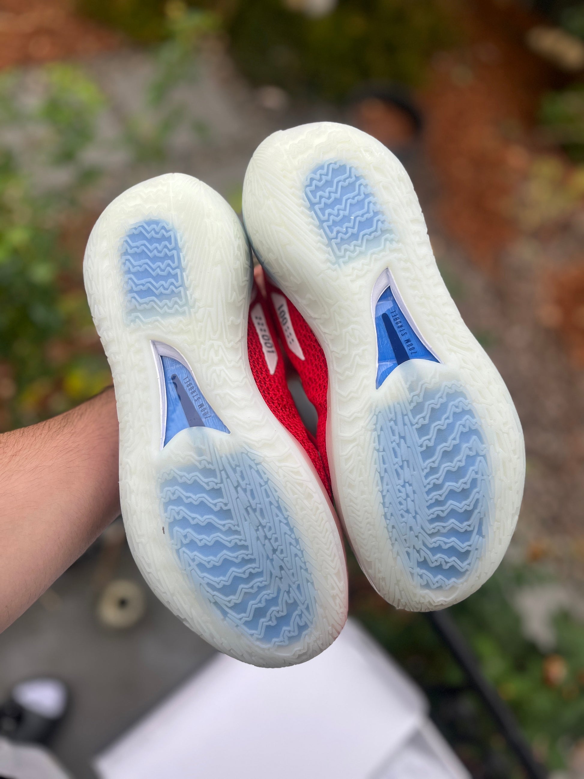 EYBL gt cut (size 10 / 12)