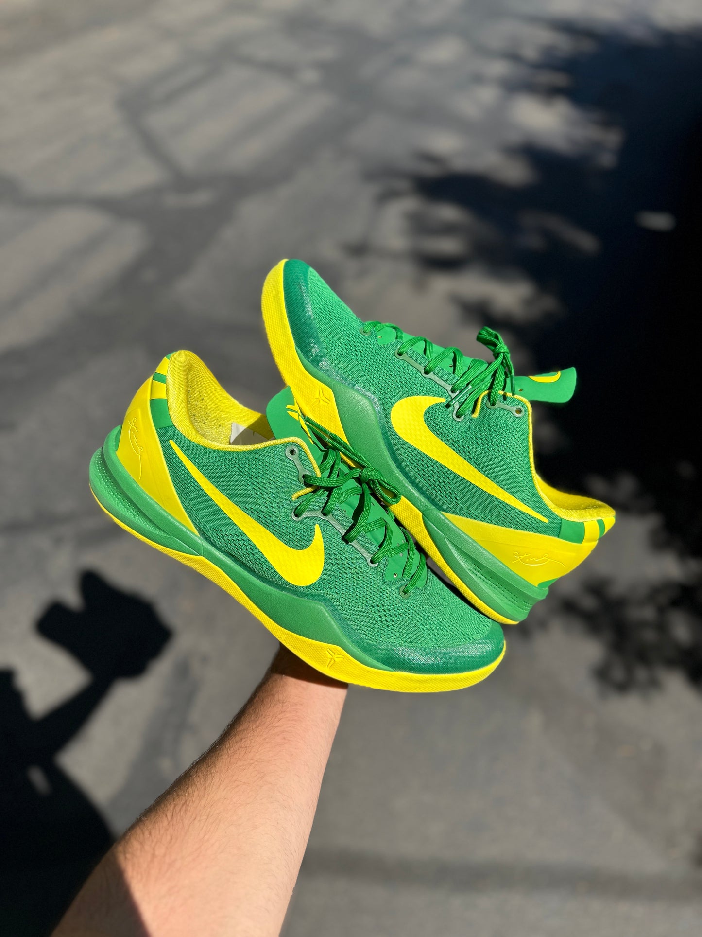 Oregon 8 (size 13)