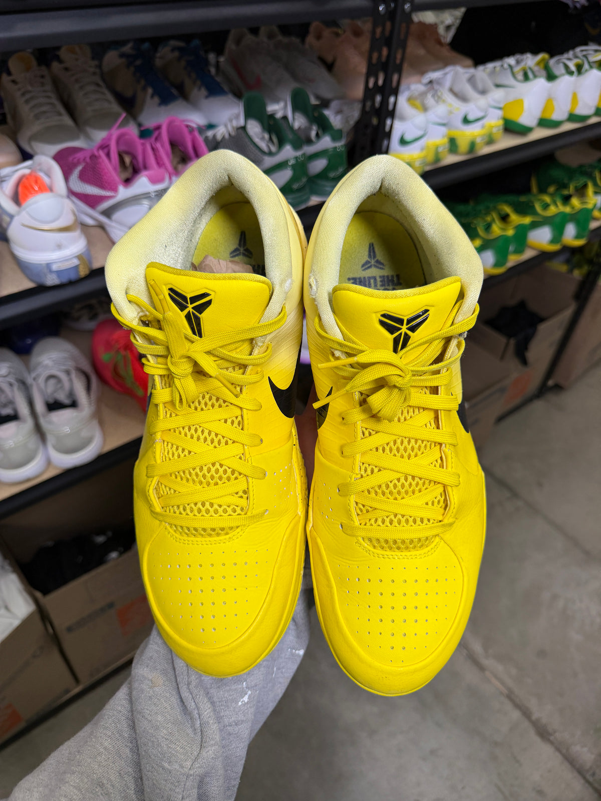 Kobe 4 CHBL (14)