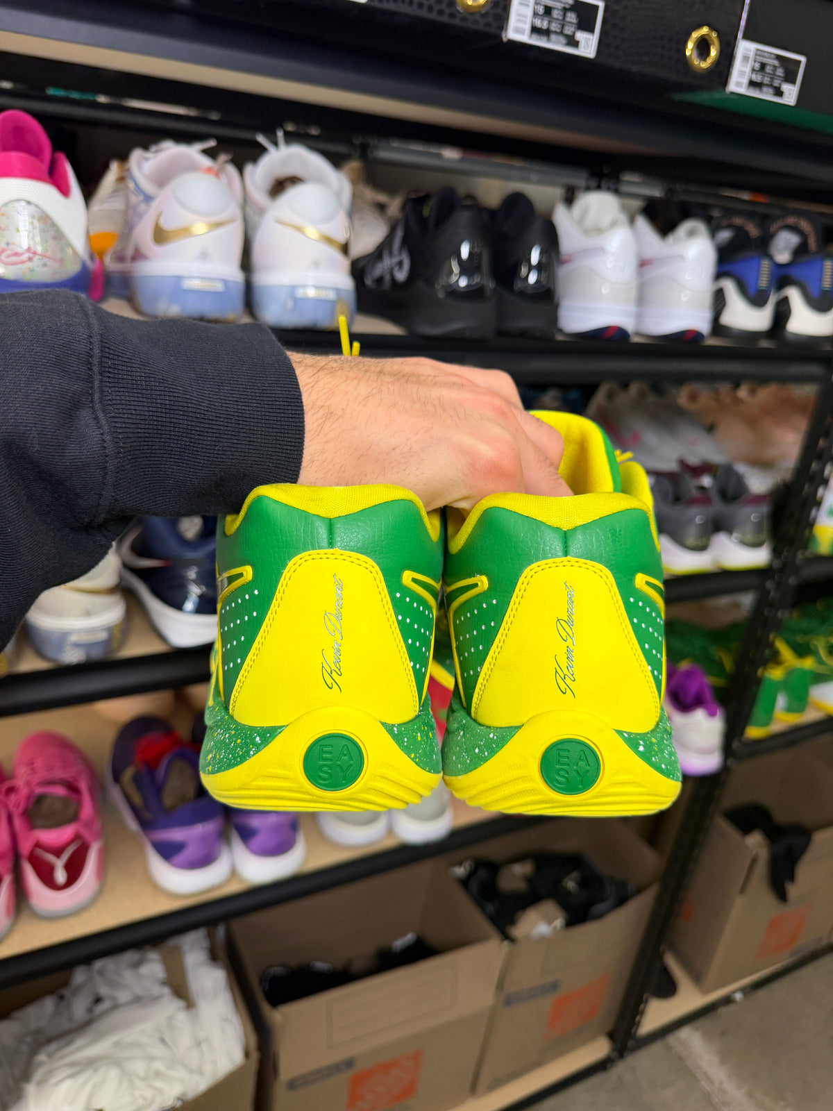 Kd17 Oregon PE (13)