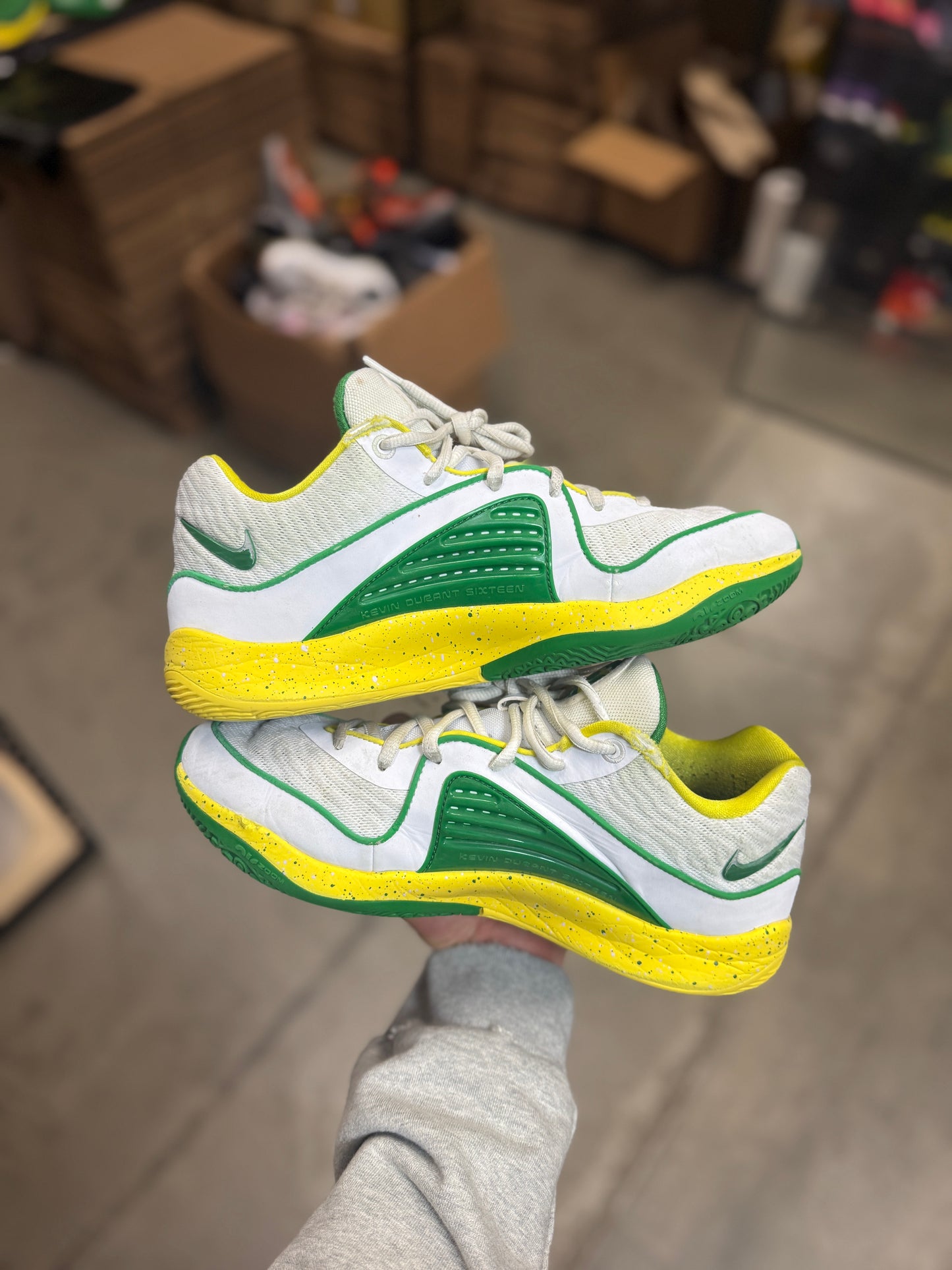 Kd Oregon PE (9)