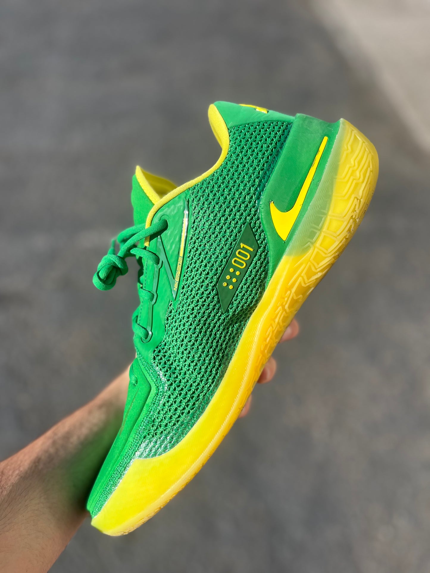 Oregon Pe gt cut (size 15)