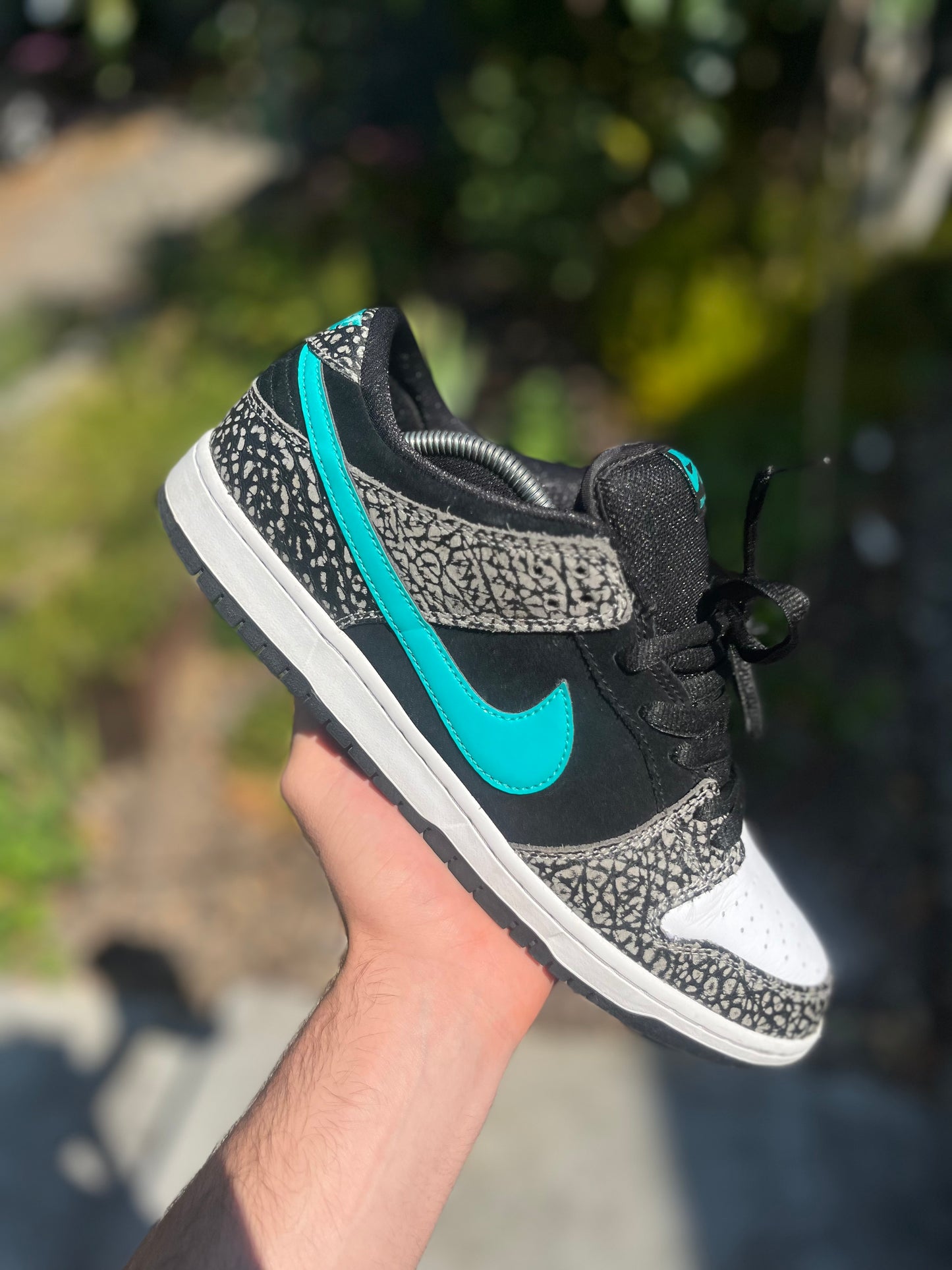 Atmos elephant dunks (size 11)