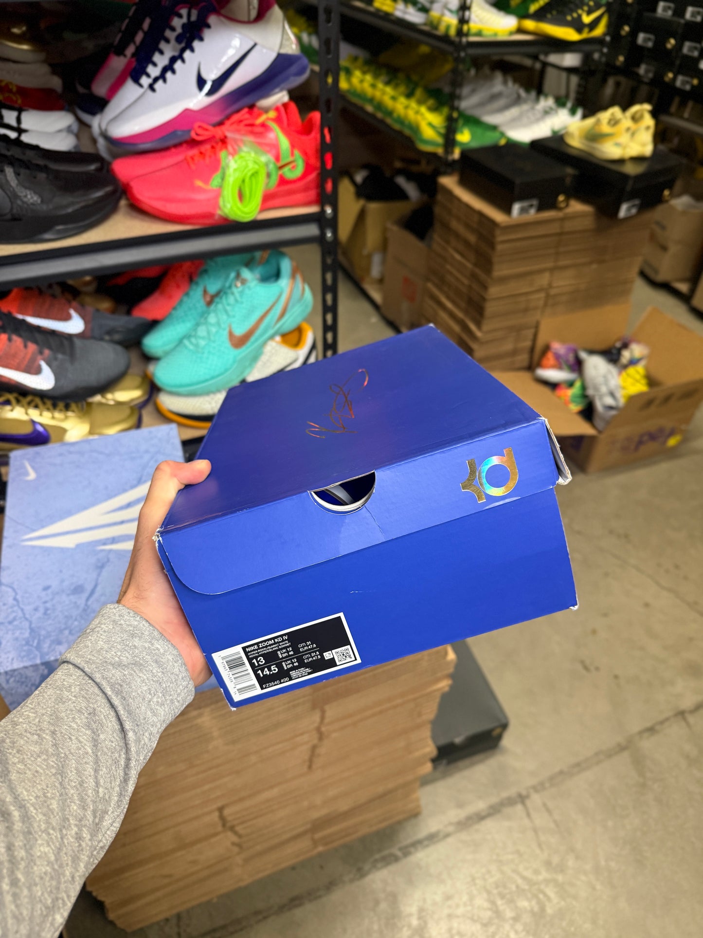 Kd4 MVP (13)