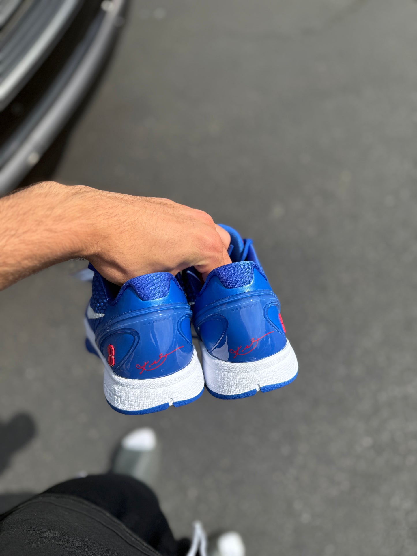 Dodger 6 (9.5,11.5)