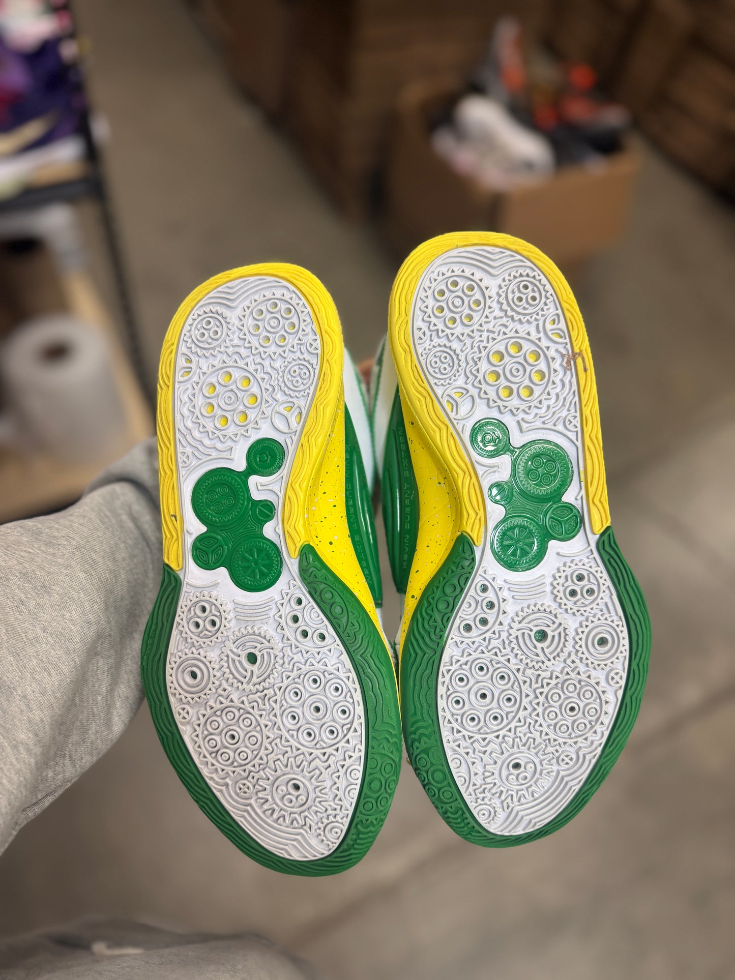 Kd Oregon PE (9)