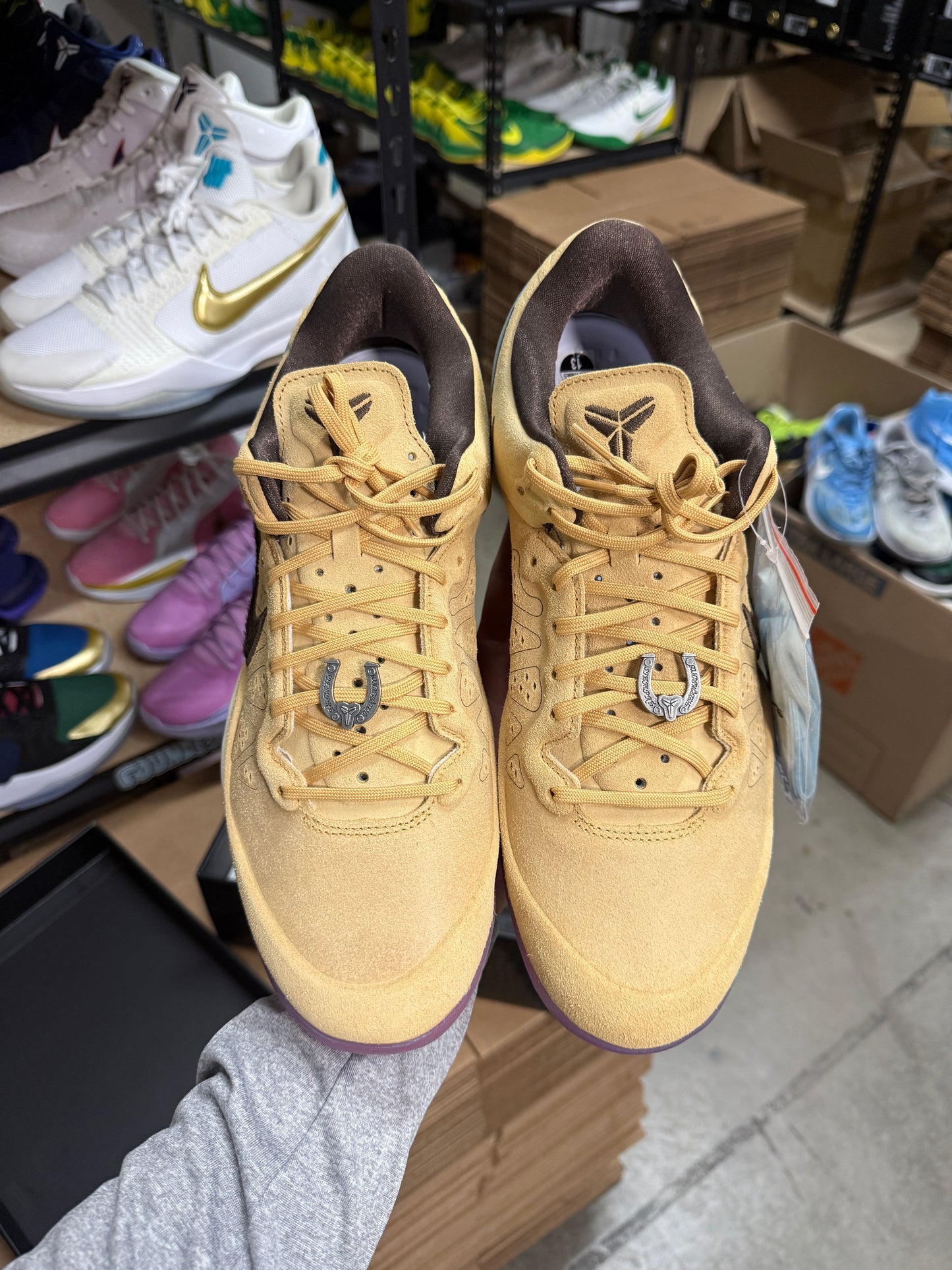 Kobe 8 (13)
