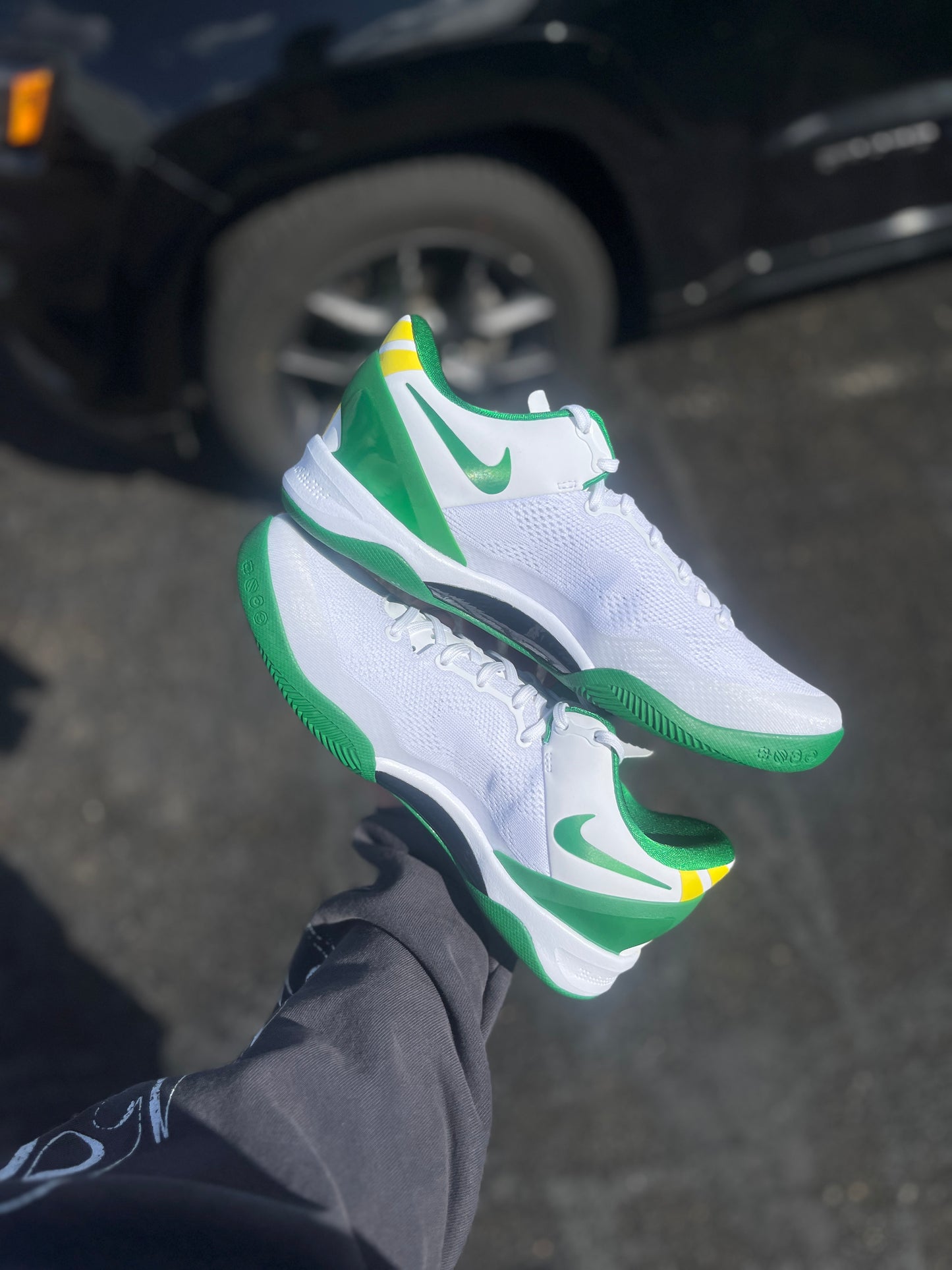 Oregon PE 8 (7.5,9,11.5)