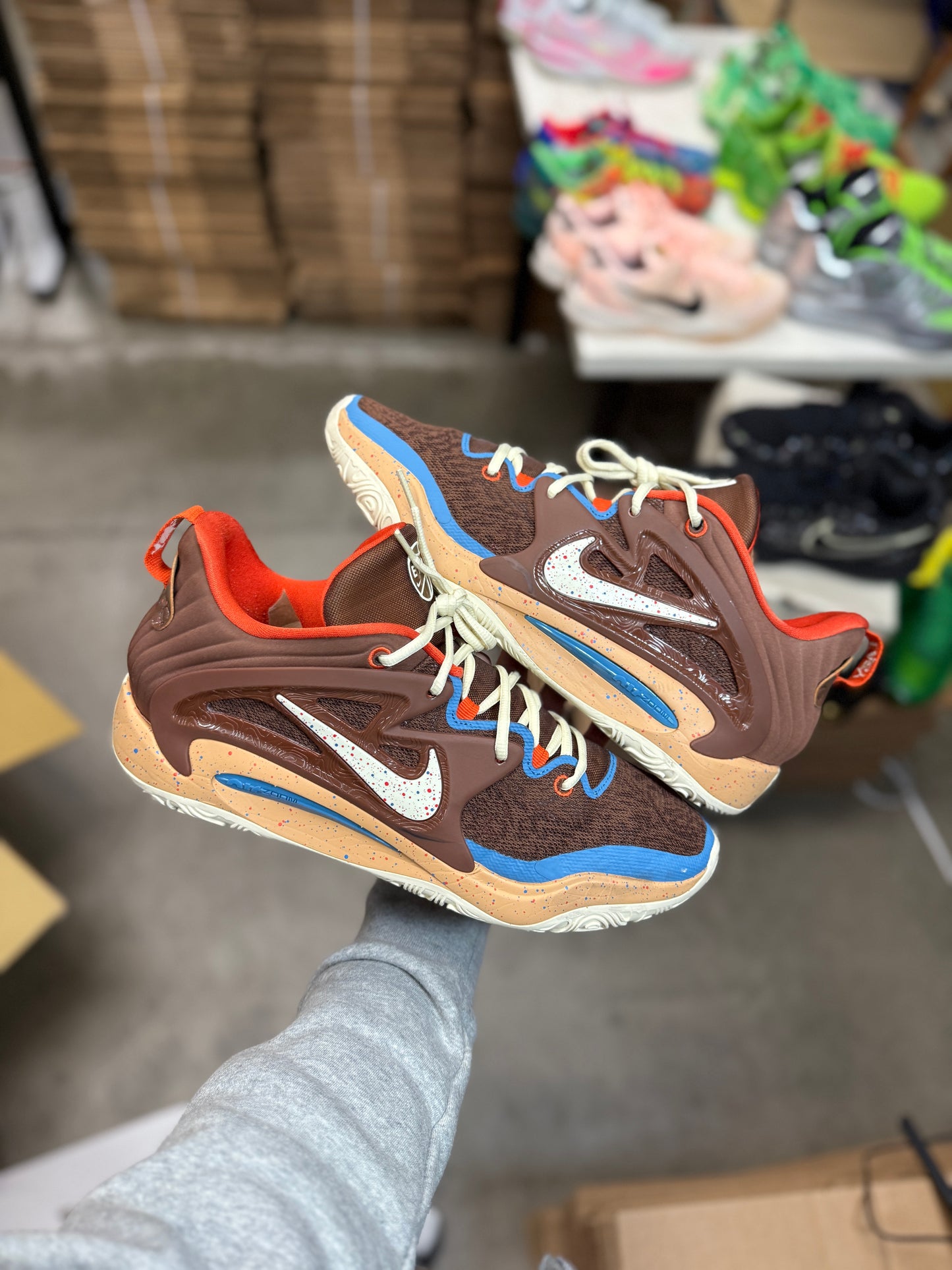 Kd15 Eybl (14)