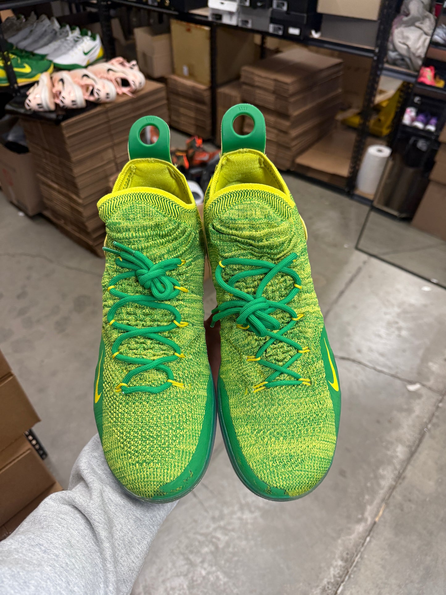 Kd11 Oregon PE (15)