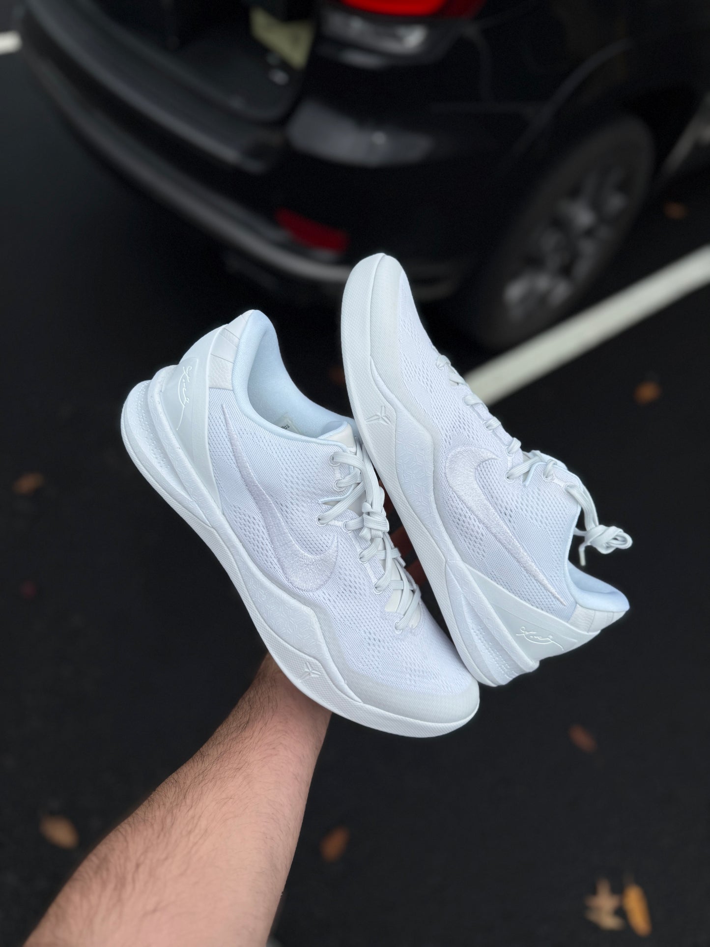 Halo 8s (12.5,13,13.5)