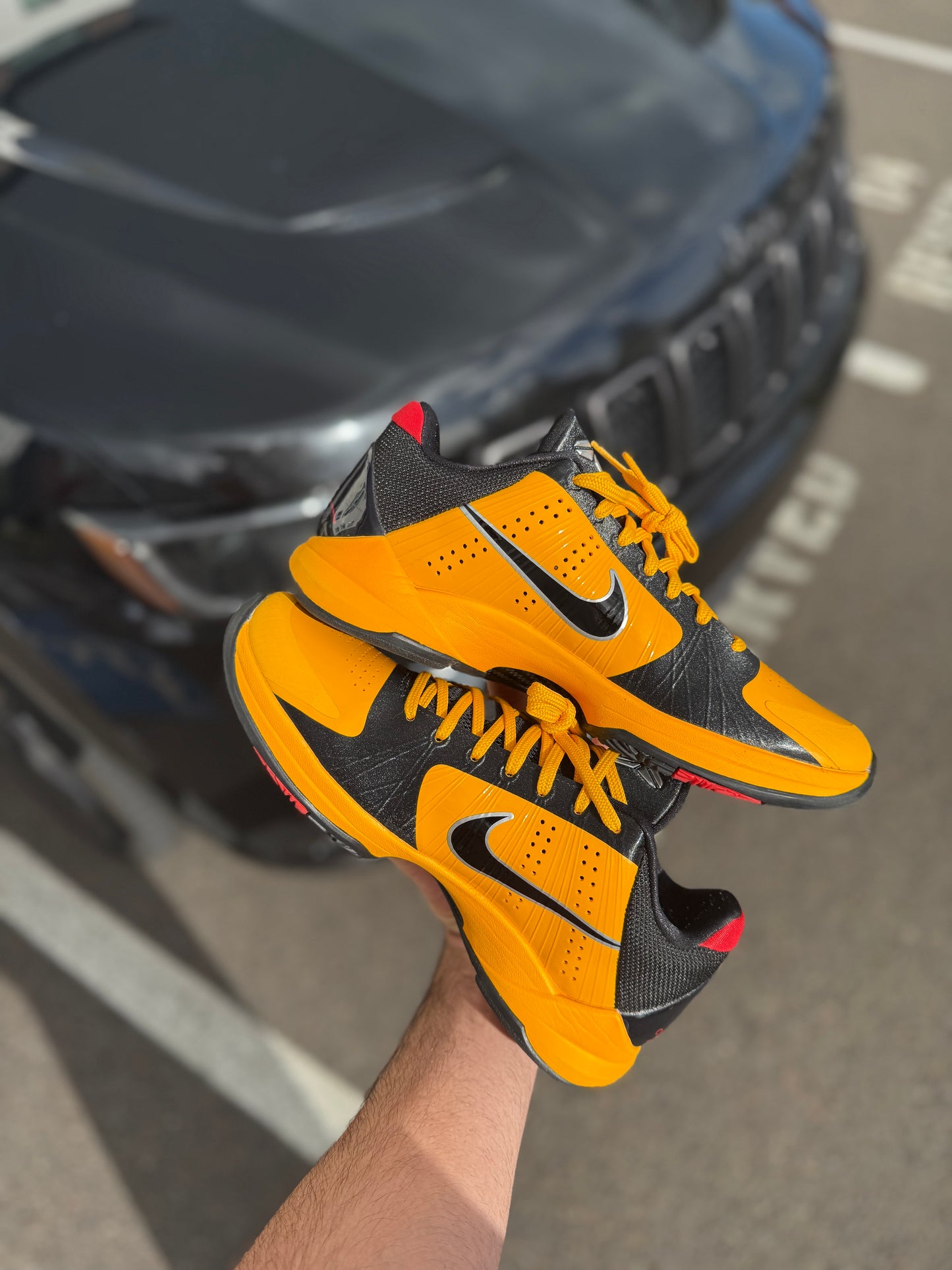 Kobe 5 Bruce Lee (size 8)