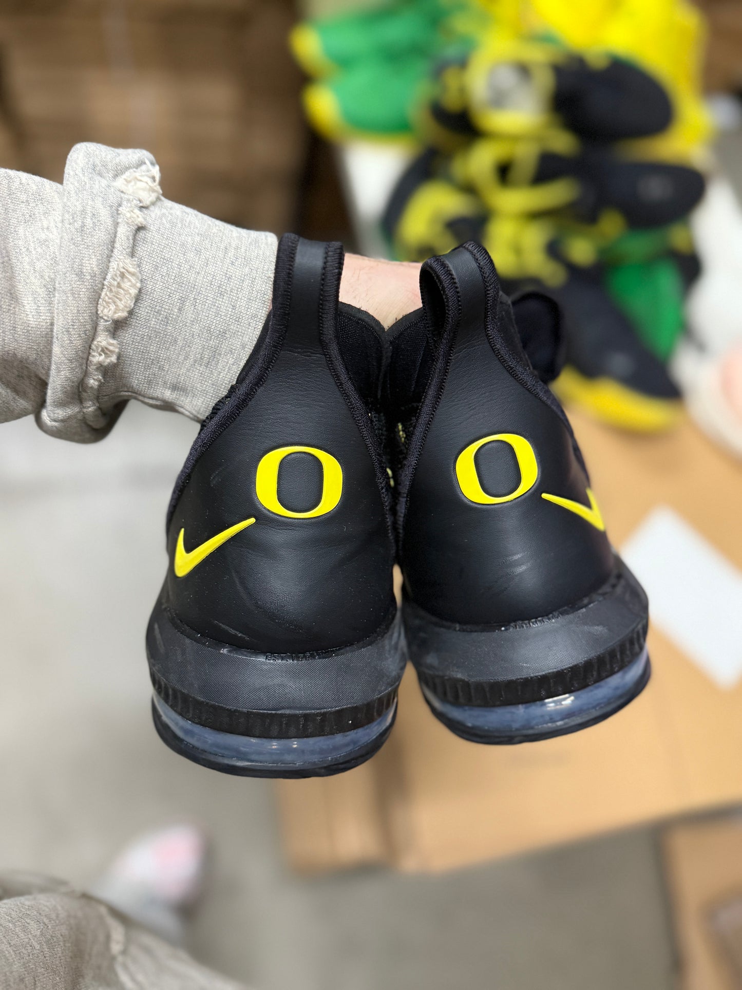 LeBron Oregon PE (size 15)