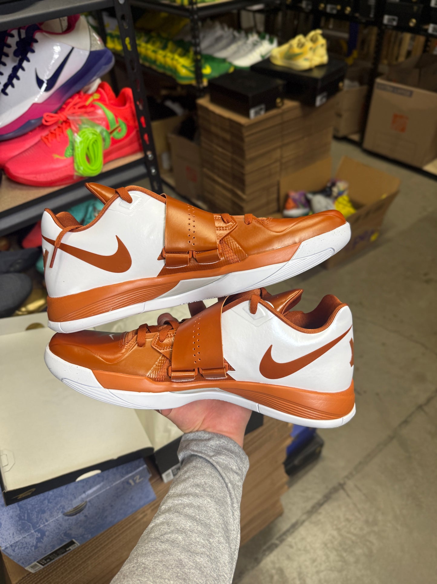 Kd4 Longhorns (13)