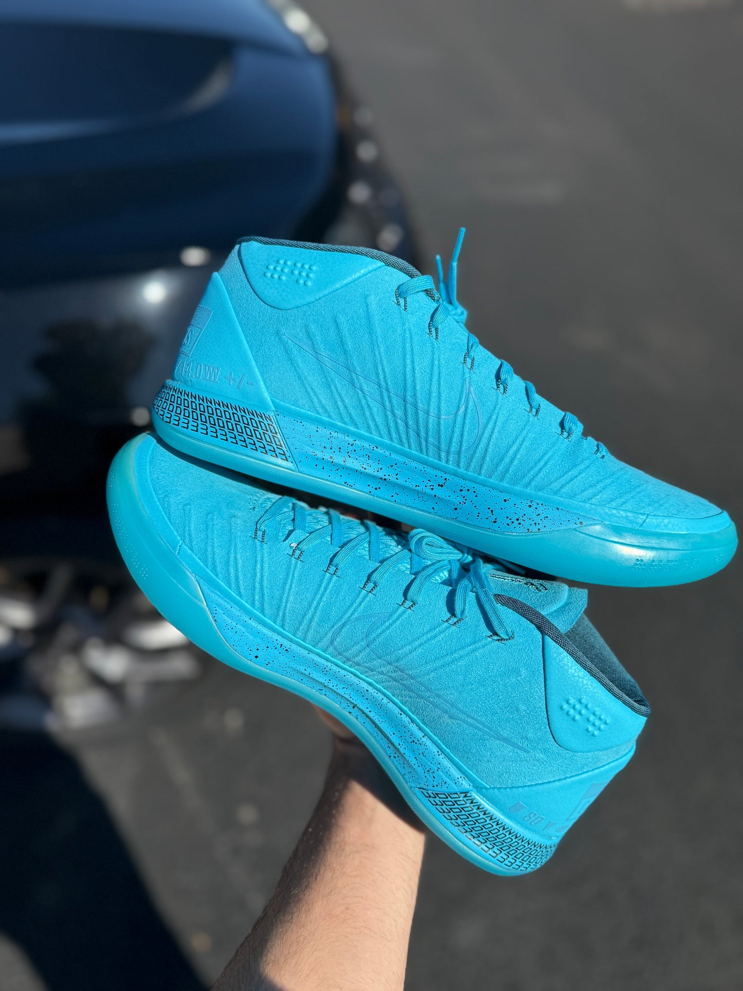 Honesty AD (size 12)