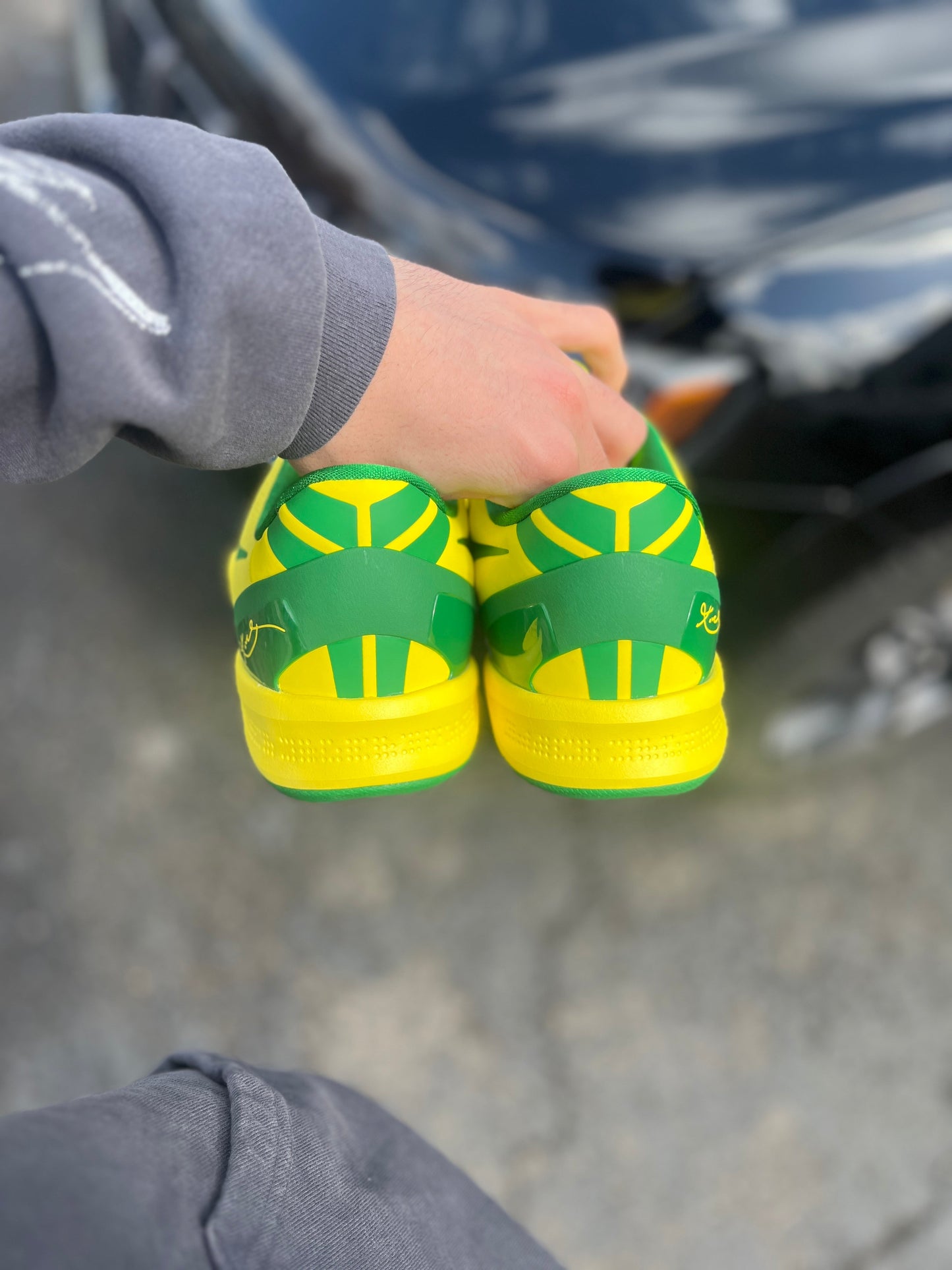 Oregon PE (7.5 / 8.5 / 12 / 14)