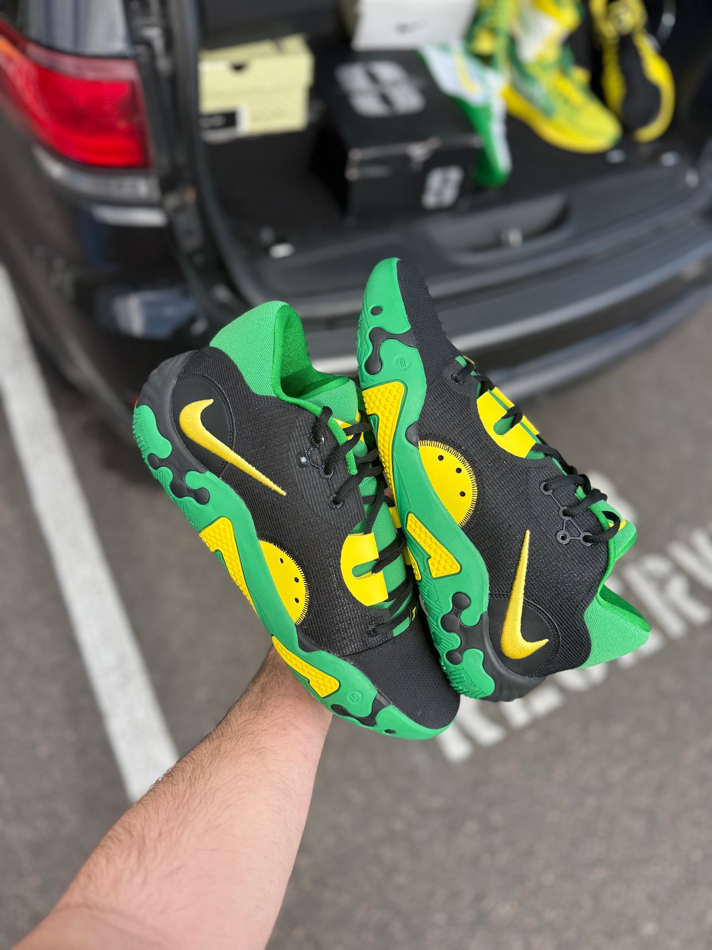 PG Oregon PE