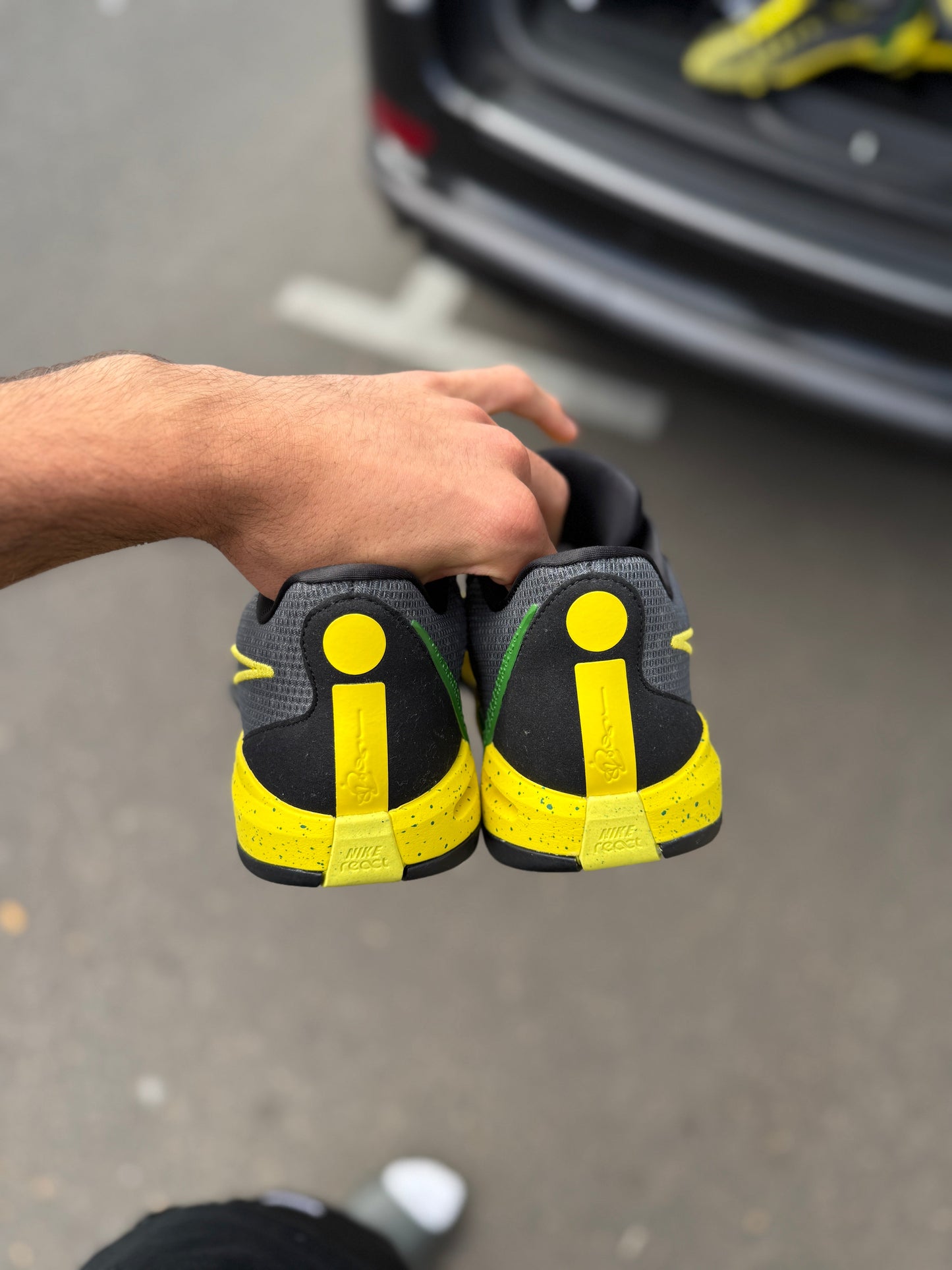 Sabrina 1 Oregon PE (10.5 / 12)