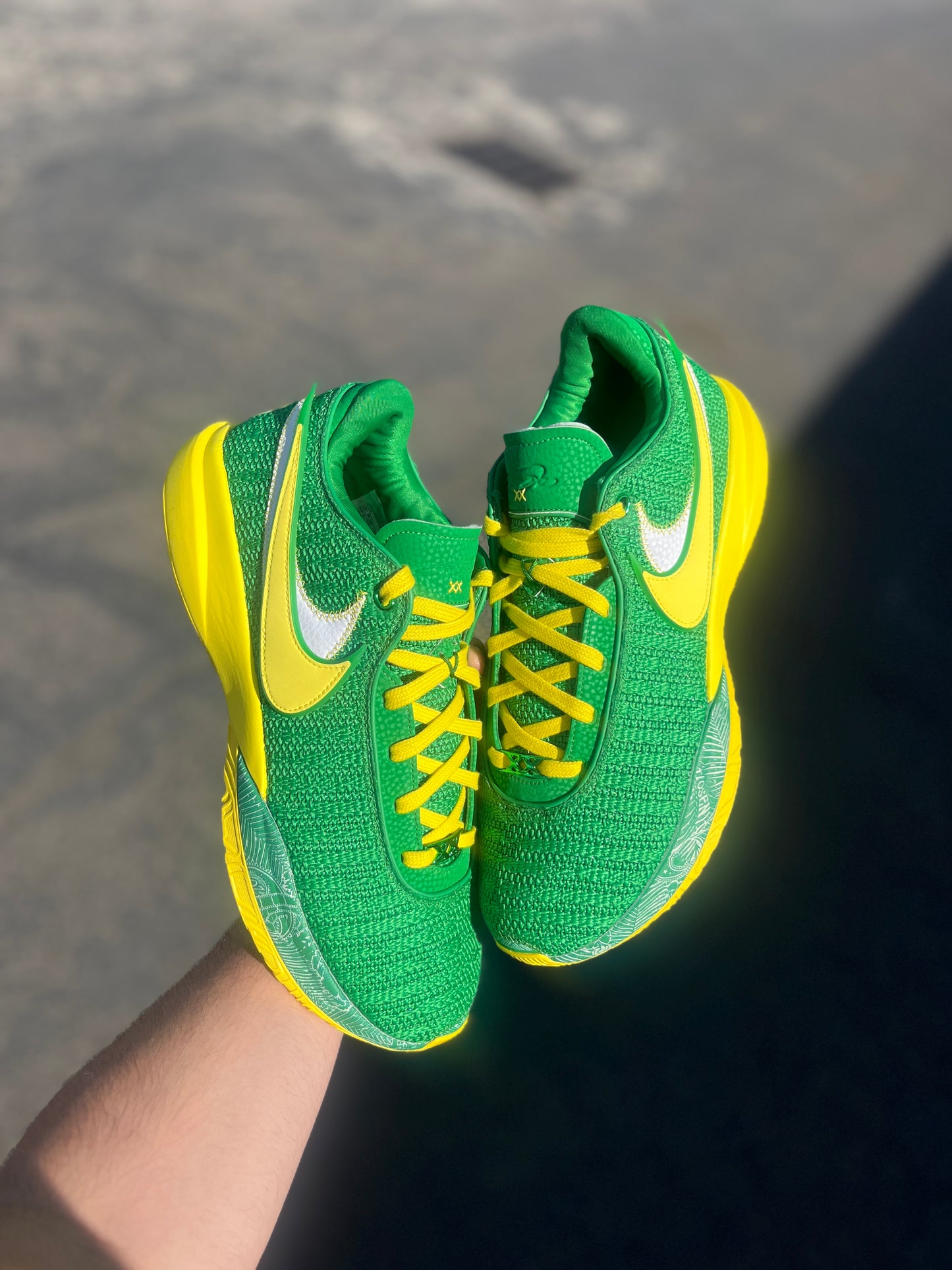 Bron Oregon PE (12.5,13)