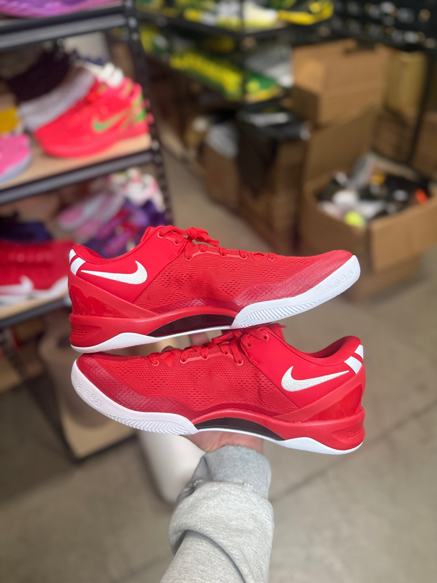 Kobe 8 (11.5)