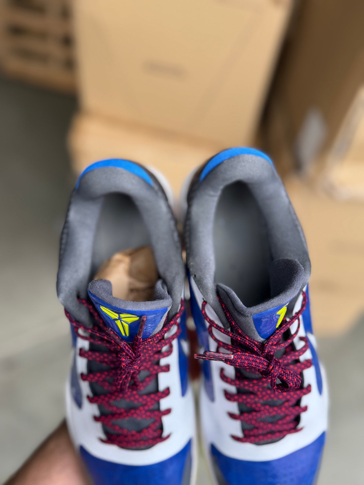 Trevor Ariza PE (size 15)