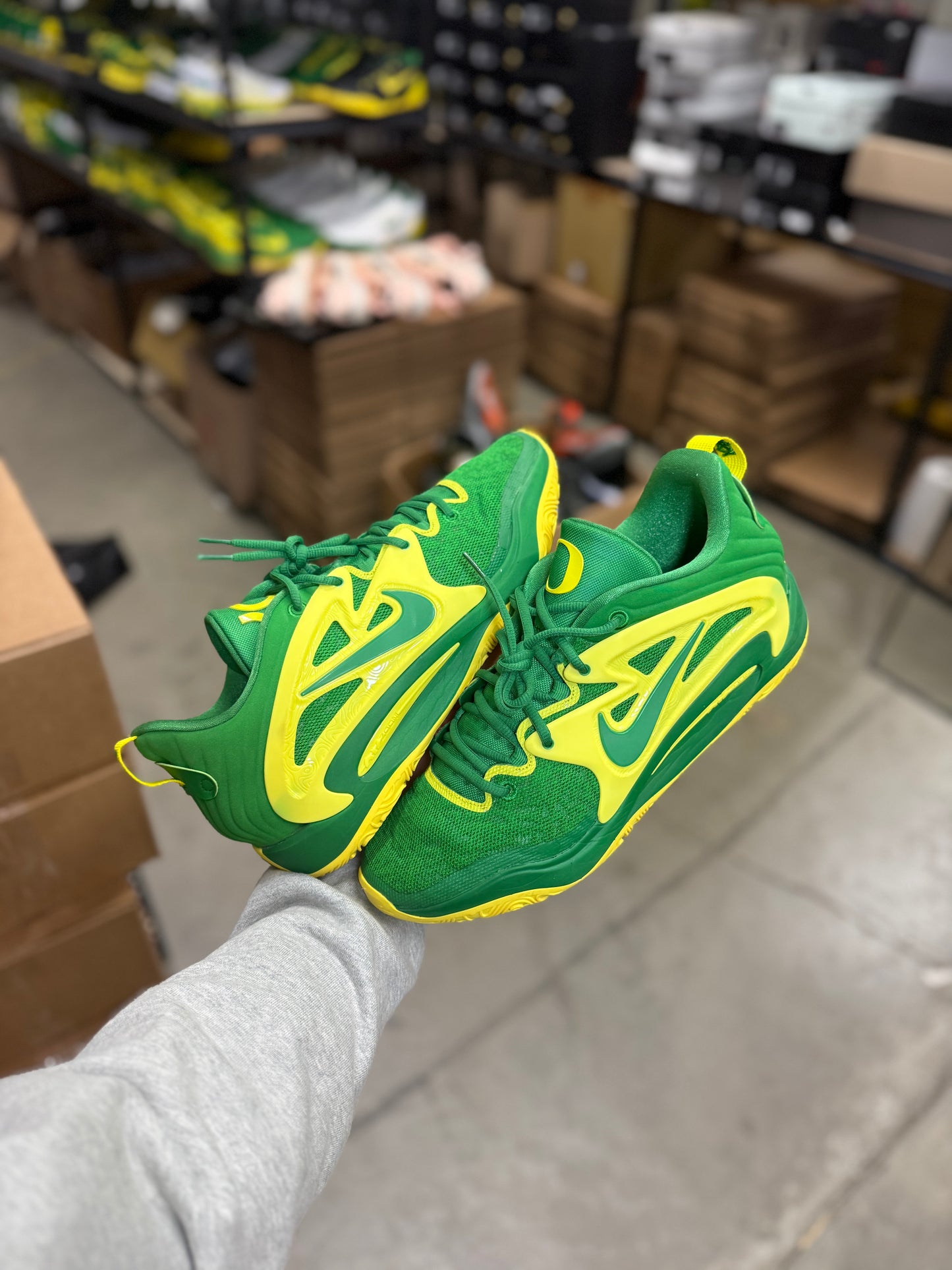 Kd15 Oregon PE (12.5)