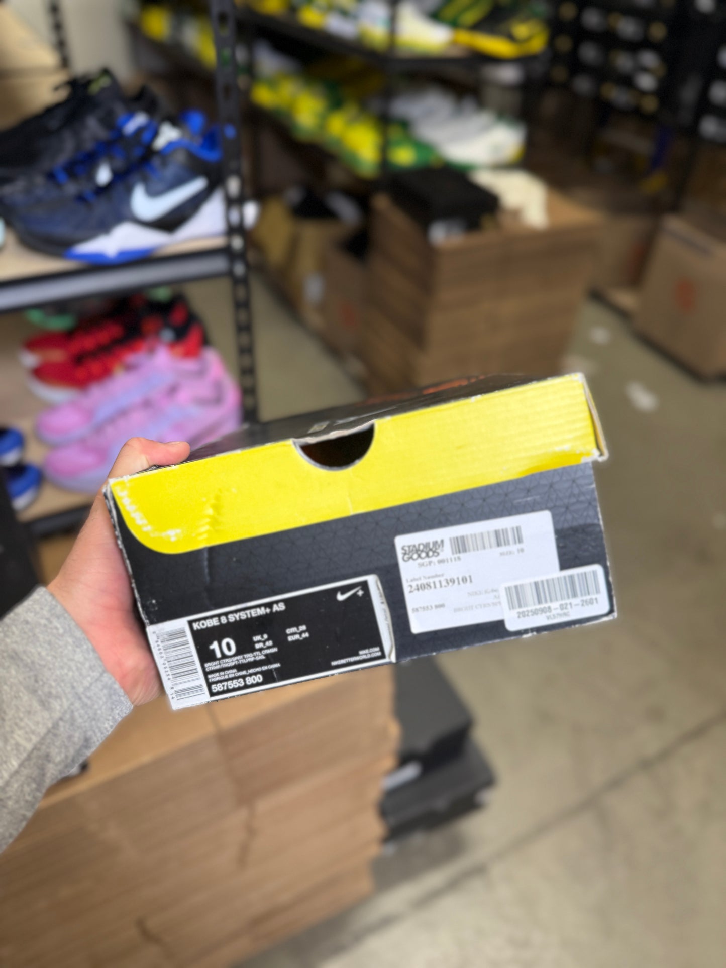 Kobe 8 Area 72 (10)